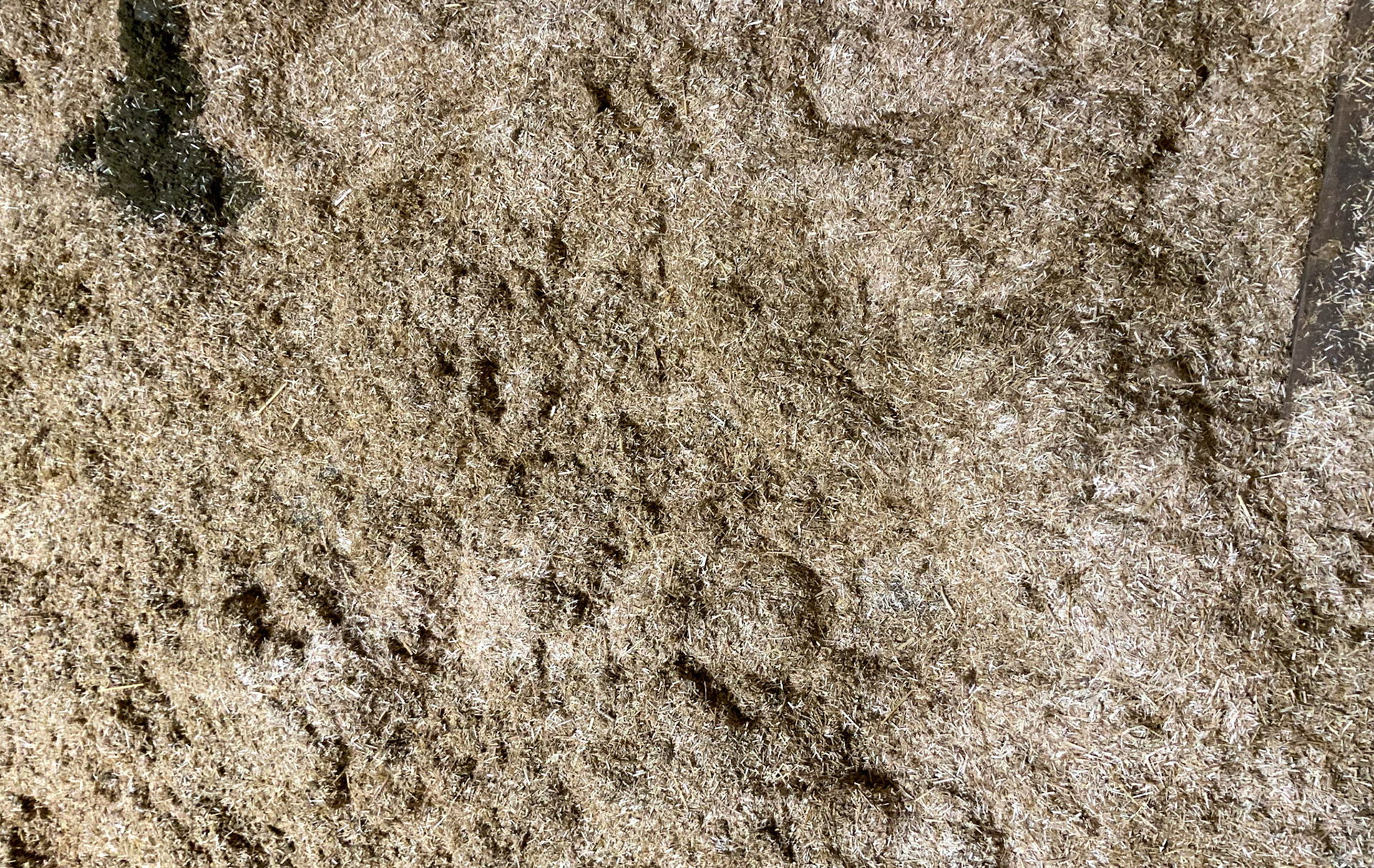 Flax bedding  finely chopped