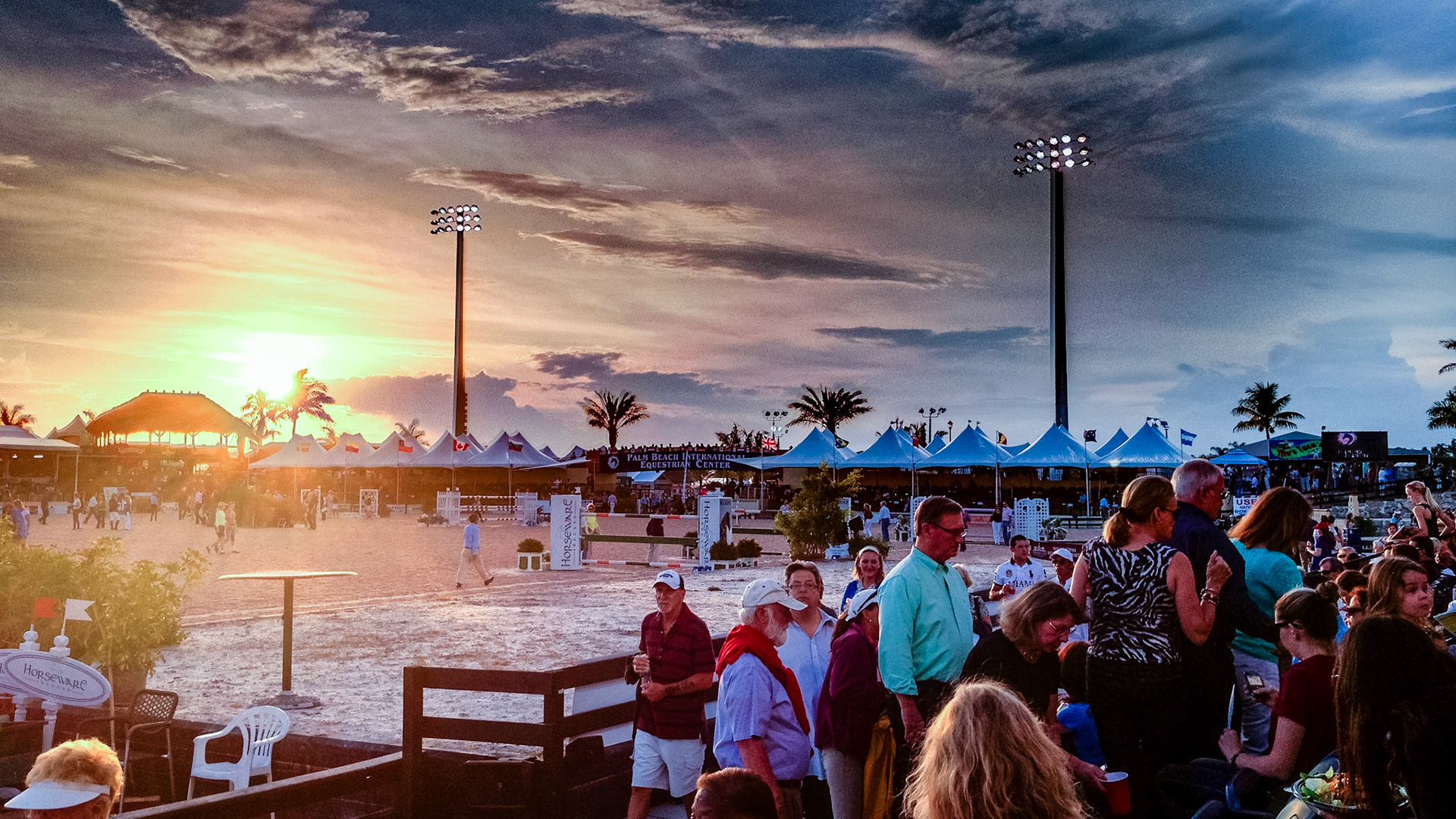 Jumps at the Wellington Equestrian show ground