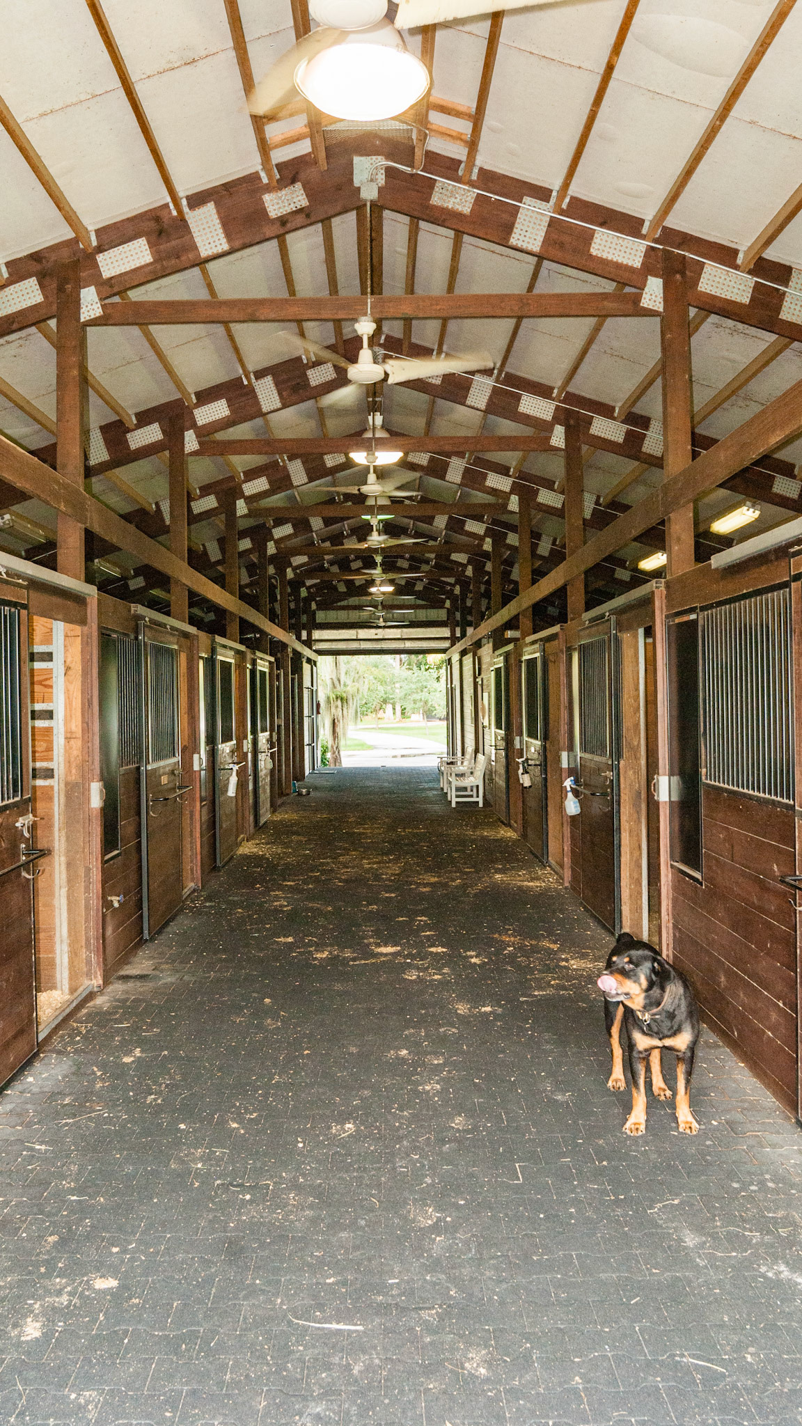 Barn Interiors