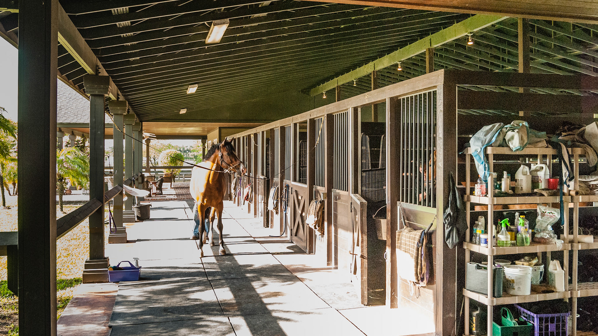Grooming cross ties and shelving