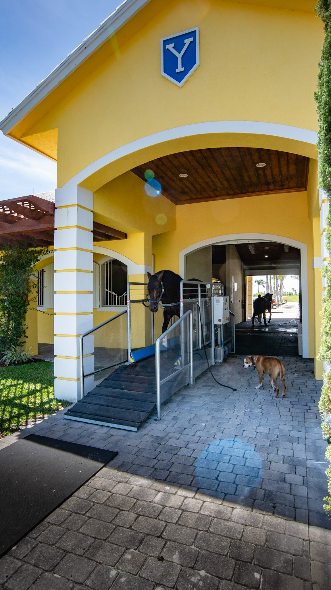 Treadmill partially within the barn in Florida