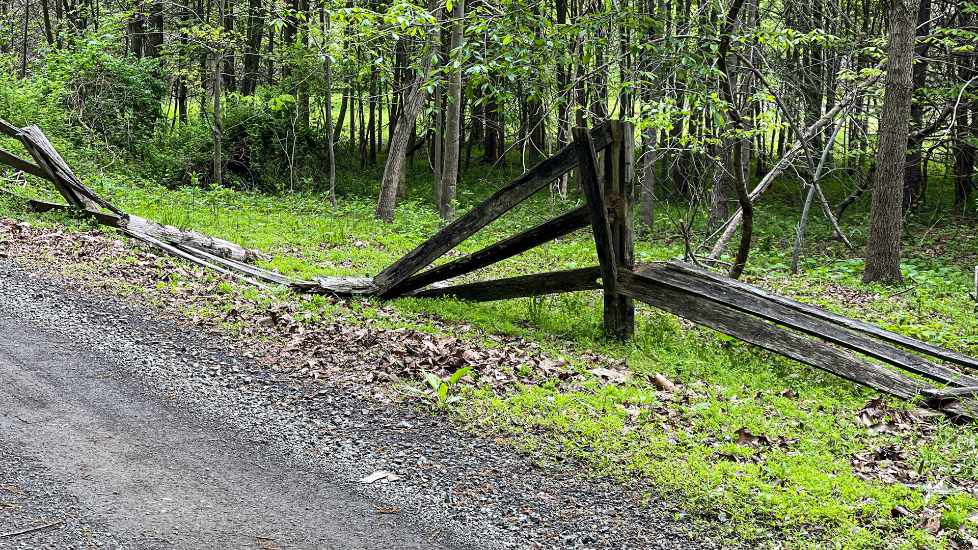 Entropy of a fence line coming out of winter in VA.