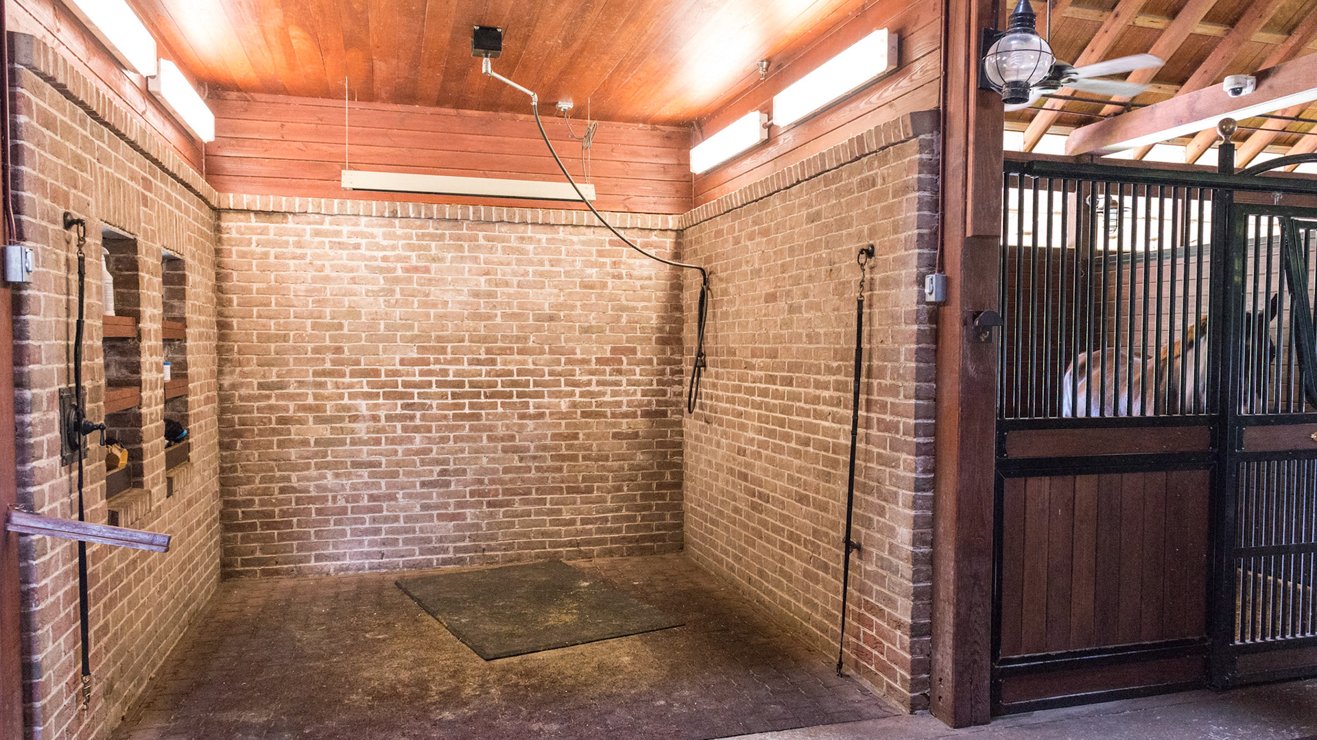 Ceiling mounted rotating water delivery system, electric heater, abundant recessesd lighting, sprinkler head located to the side, rubber floor with mat covering the drain, and hard wood ceiling well above the horse's head.