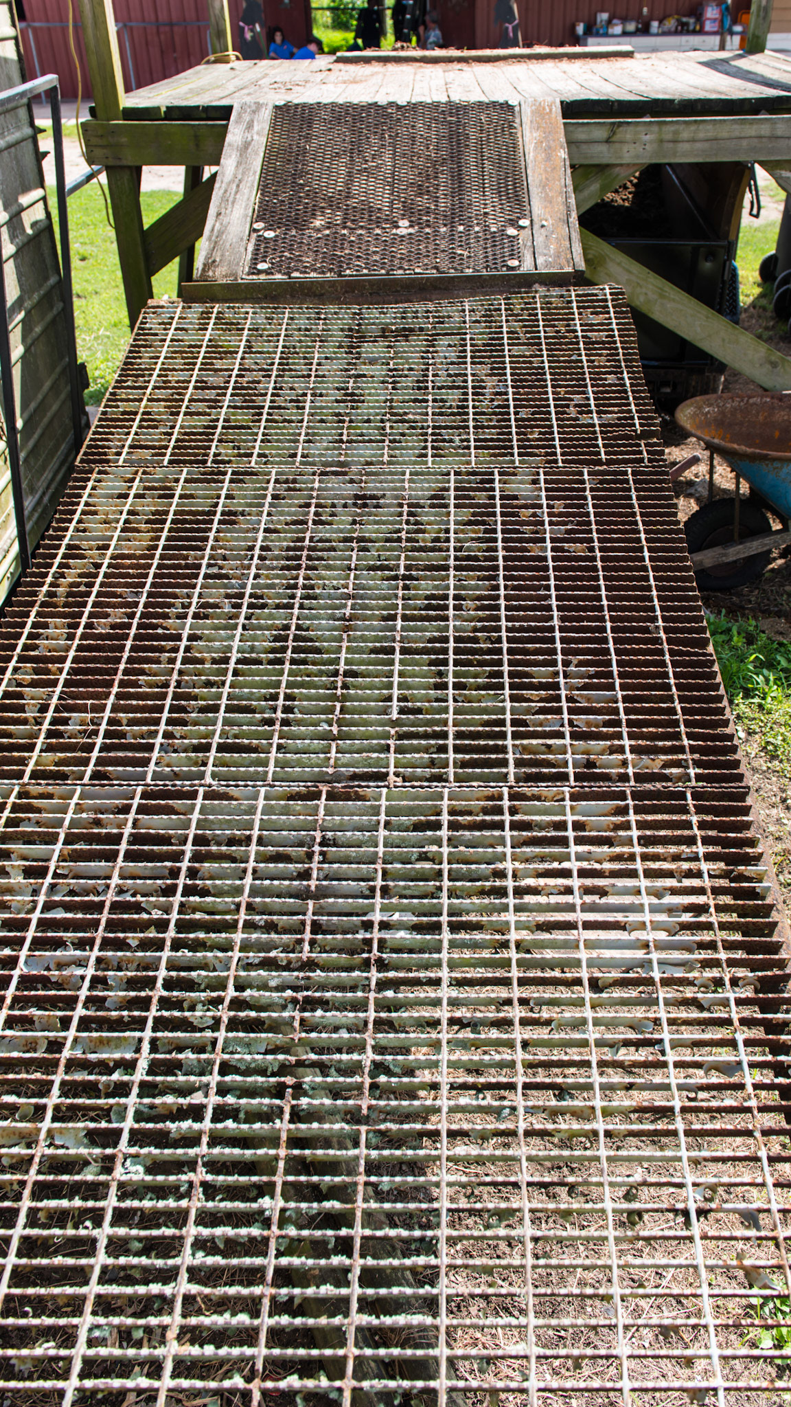 Ramp to manure platform made of steel decking. One person said it is very slippery when wet.  There are no sides and the end makes a steep up angle.  Pusing the large blue wheel barrow could be difficult for some people.  This is a dangerous set up.