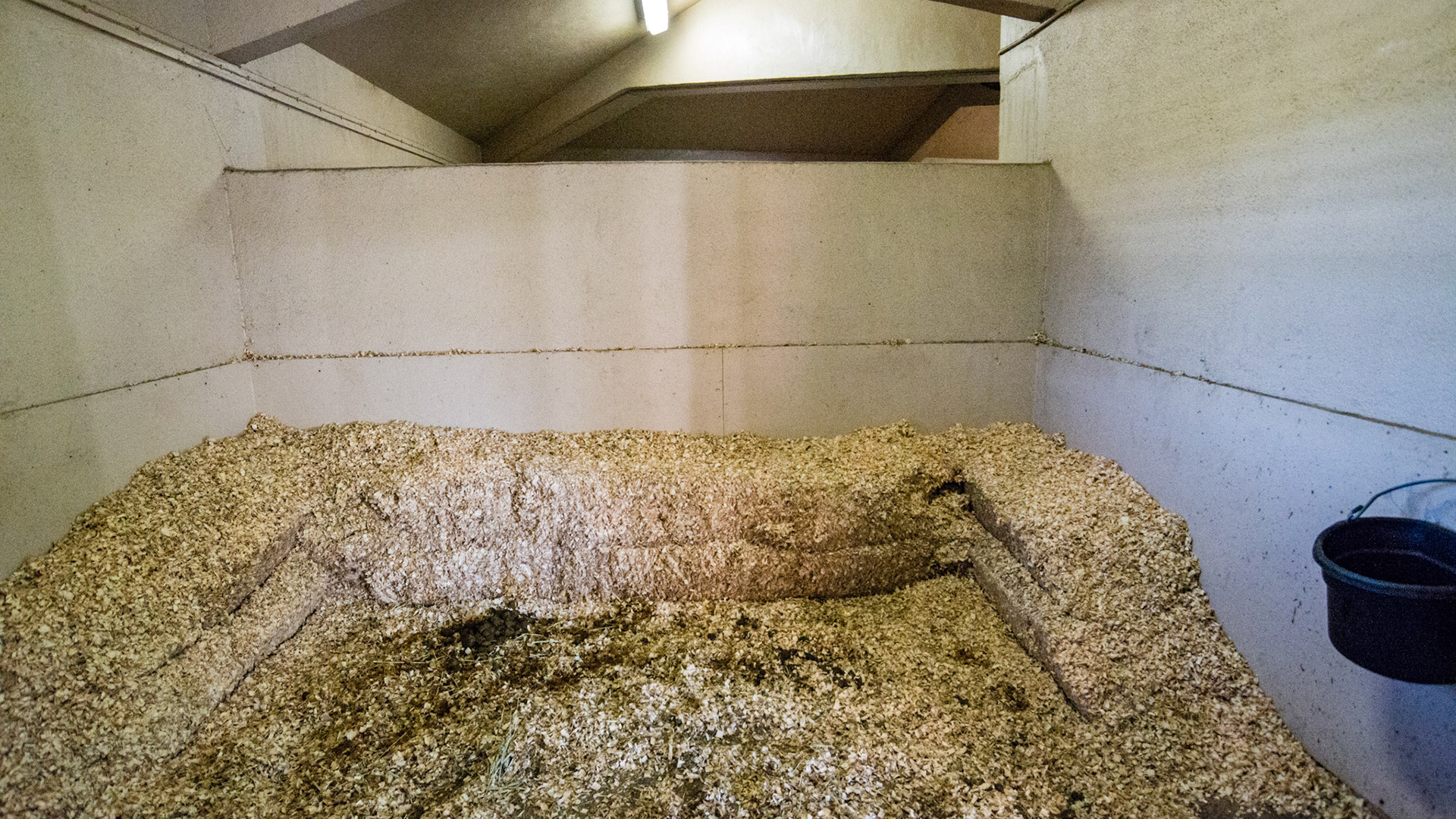 Stall banked with bales of wood shavings. greatly reducing the floor area where the horse can lay down comfortably.