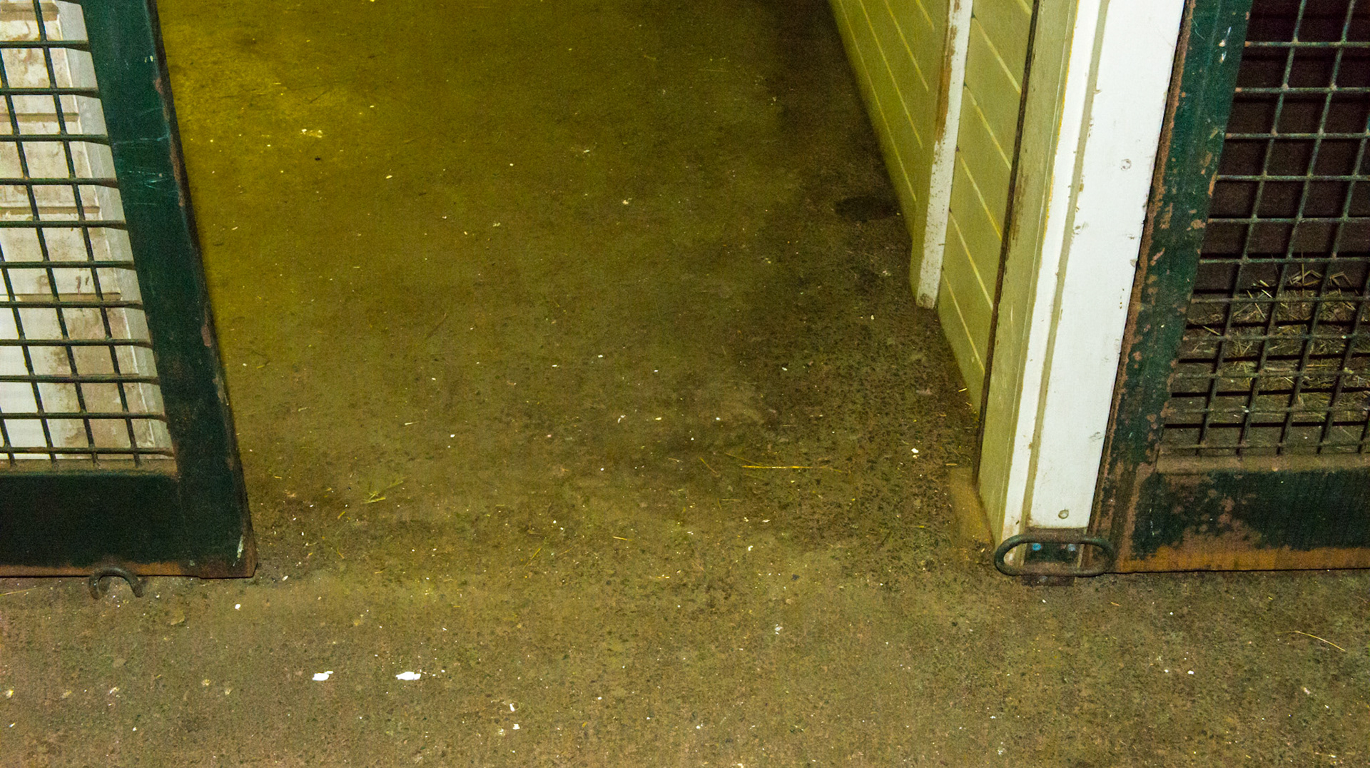 Asphalt flooring with a continuous level between the stall and the aisle.