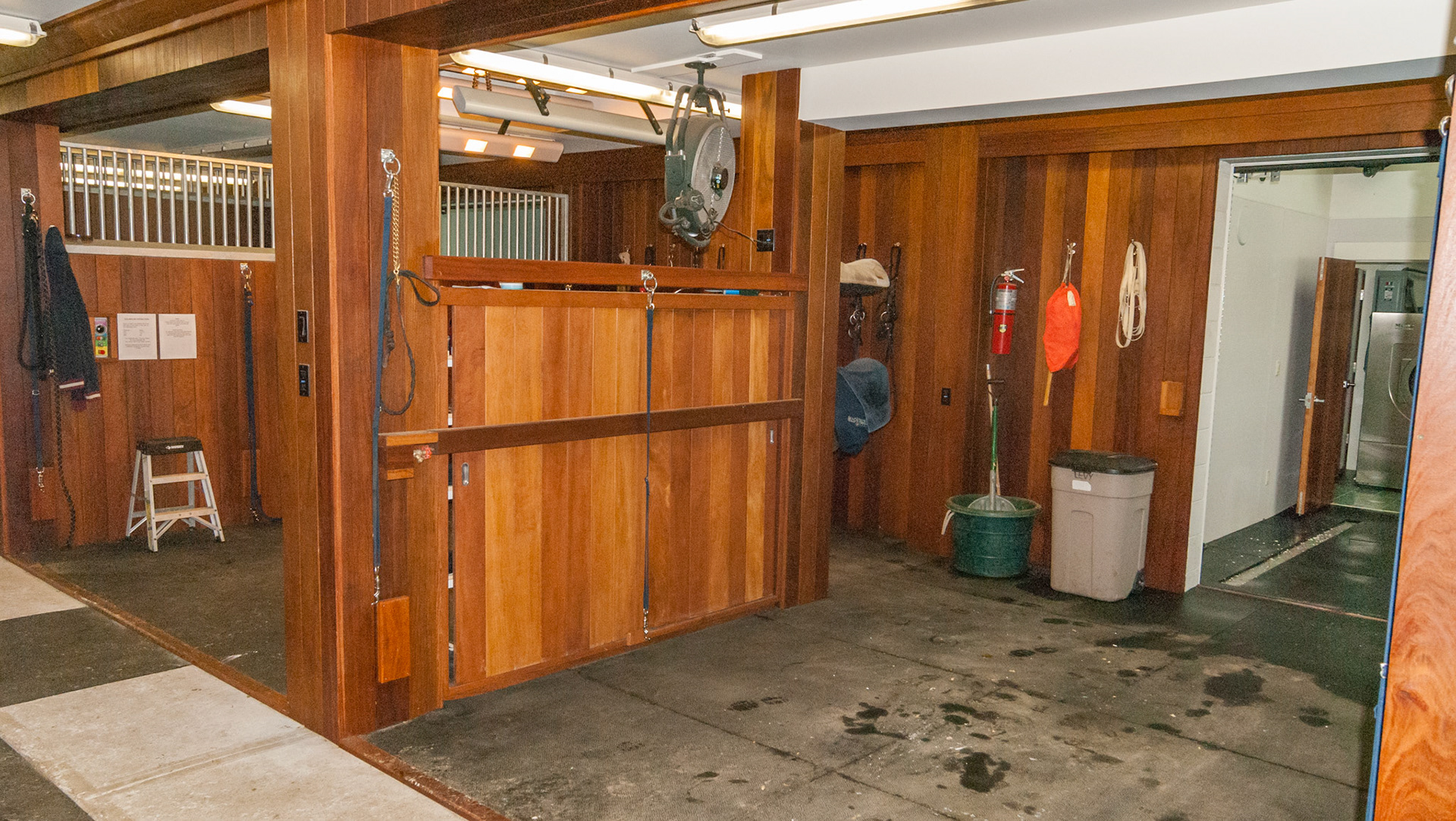 Grooming area with the laundry room behind. The wood is imported and the floors have radient heat.