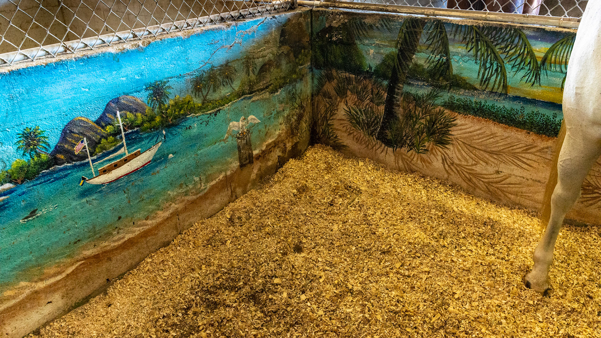 Hand painted mural by the horse's owner.  The painting was done 3 years ago and has maintained itself well with just some pressure washing. She is planning on repainting it this winter.