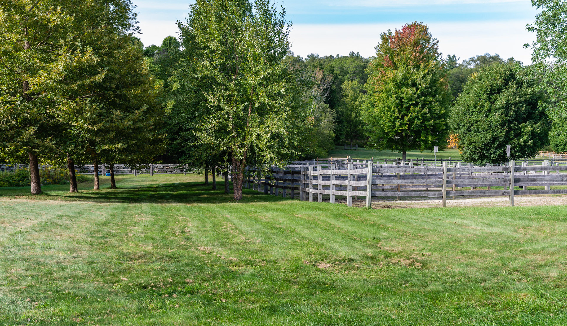 Summer pasture of predominantly one type of grass (mono grass) - freshly mowed.