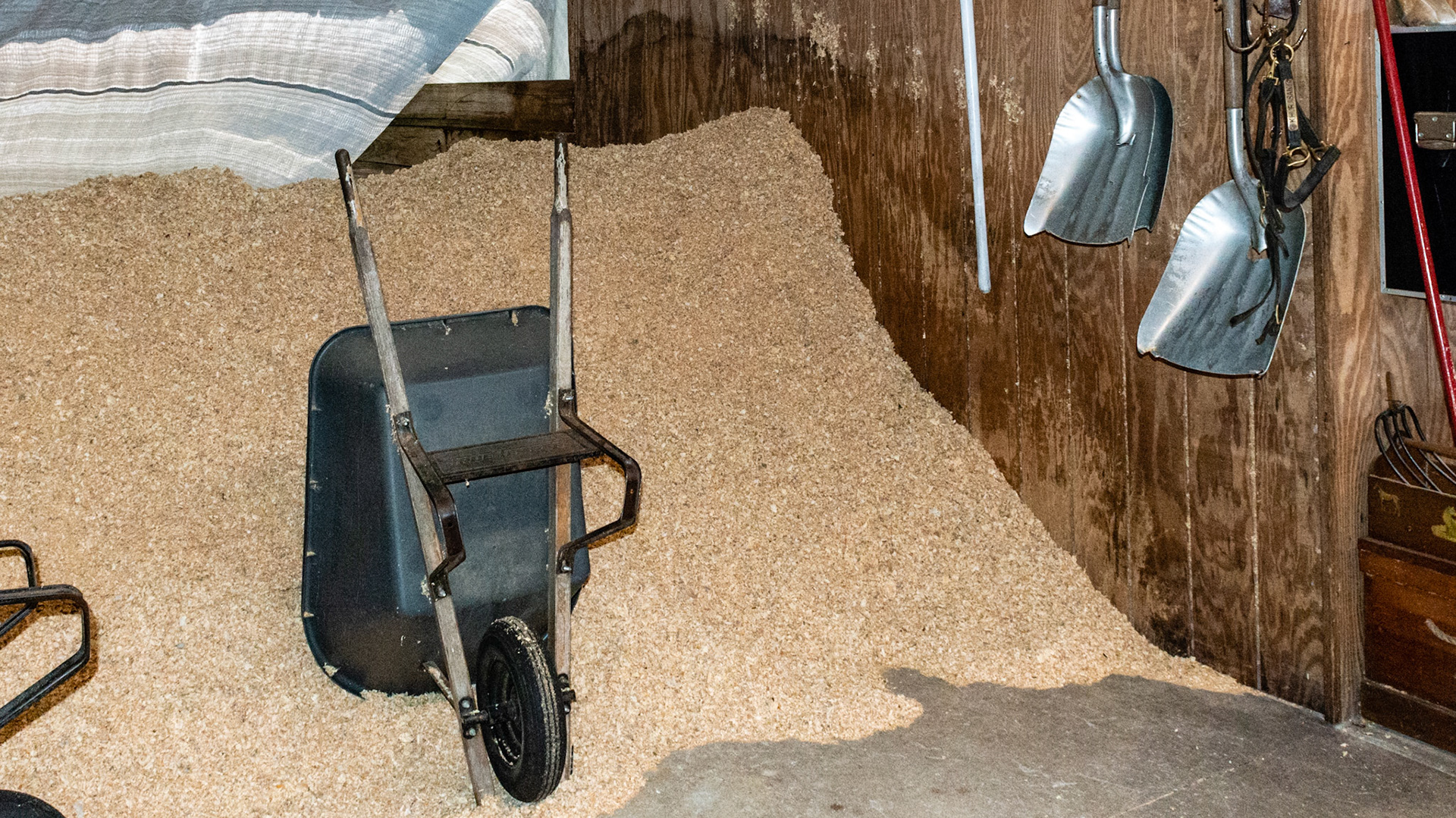 Wood sawdust is the bedding used in this barn not just for the stalls but for the large aisle used for exercising the horses.  Everything is clean and organized in this barn. A lot of hard work is clearly evident in the whole barn.  Note fire extinguisher (one of many throughout the barn)