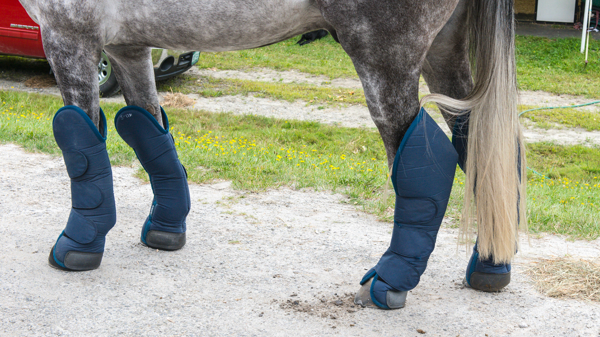 Pre-made shipping protection. These have been used by the owner every week for 4 years with no ware. Notice how the coronary band is well protected - essential in shipping. However, I am a firm believer in not shipping a shod horse.  However, if you must, this is the protection you want for the coronary band and the prevention of hoof avulsions (very painful and bloody).