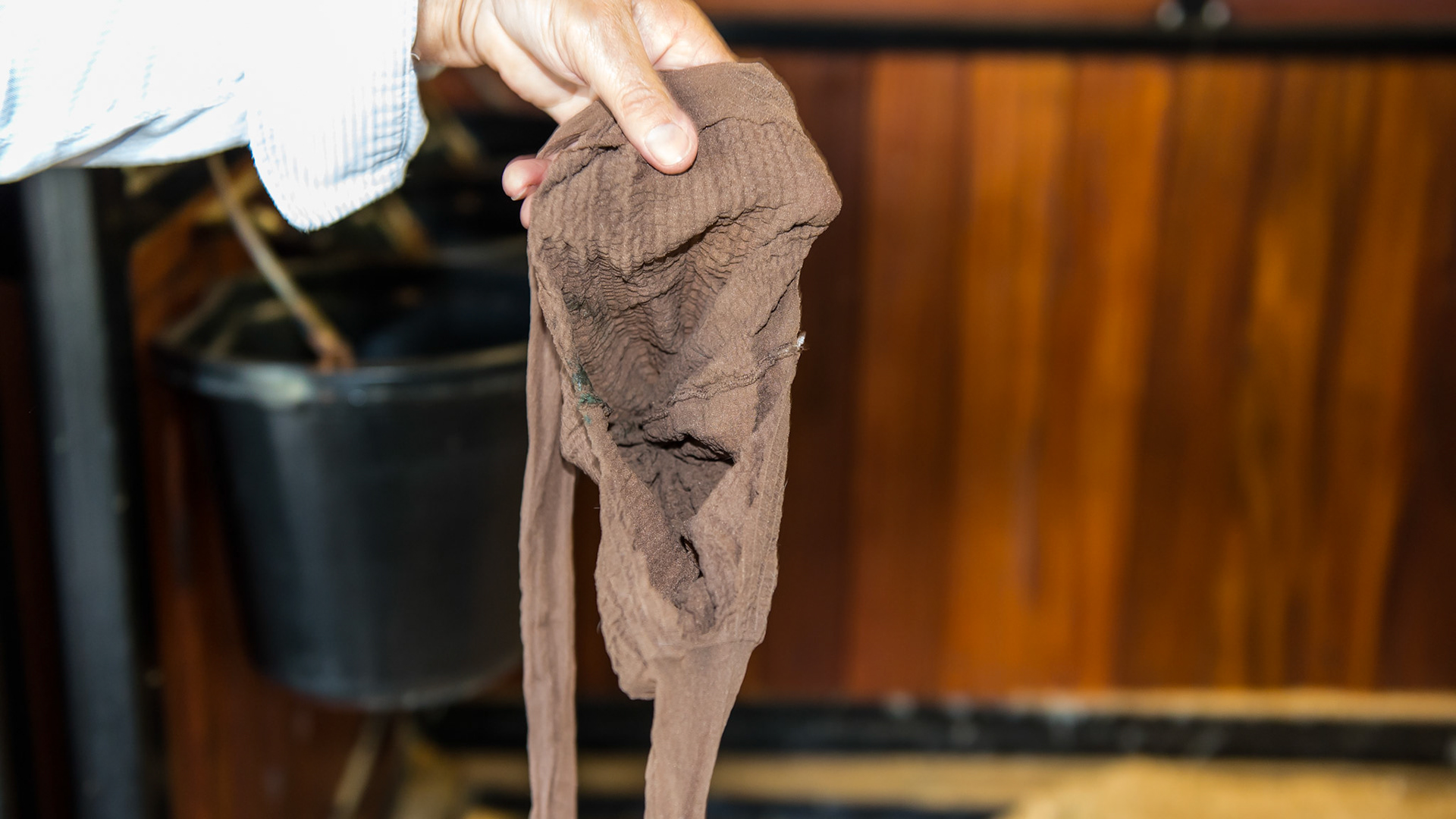 This is a pair of panty hose with the waist band tied closed and a hole cut into the crotch.  The legs are tied together at the top of the back and the hole in the crotch is placed over the sheath.  This is an effective way to keep flies off of the summer sore that this horse has.  The horse can urinate through this and they are easily cleaned.