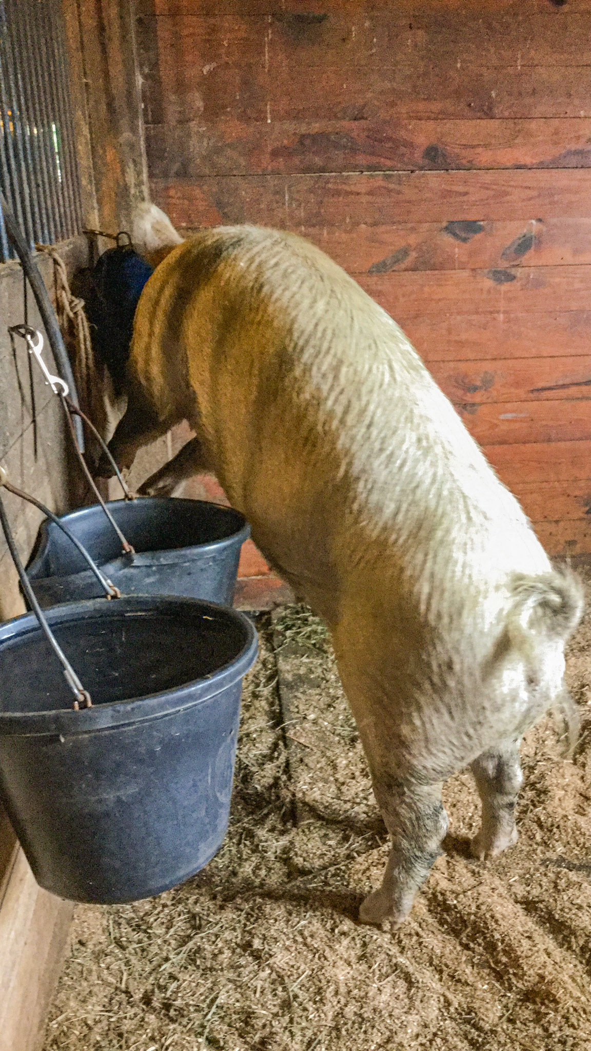 I couldn't resist photographing this.