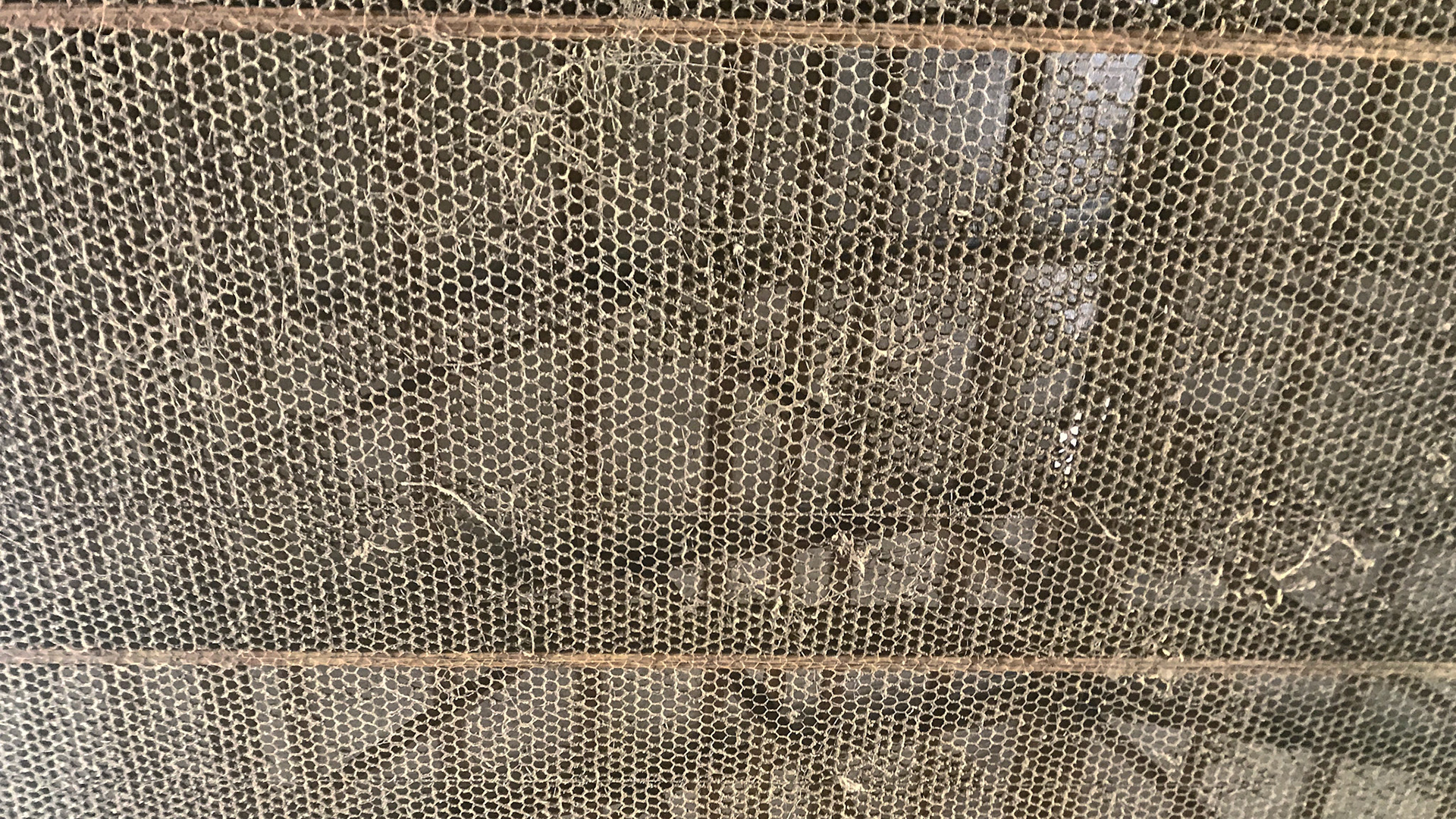 Chicken wire provides truss protection from birds.