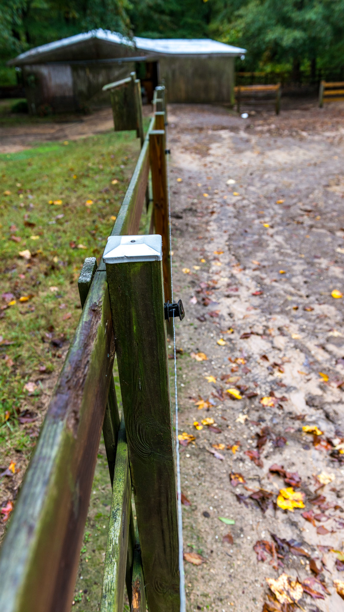 Metal caps cover the tops of these wood 4x4 posts while a single electric wire runs inside the fence line. Both are to keep the horse's teeth off of the fence. Note the boards are on the outside of the posts exposing the edges of the posts to a running horse.
