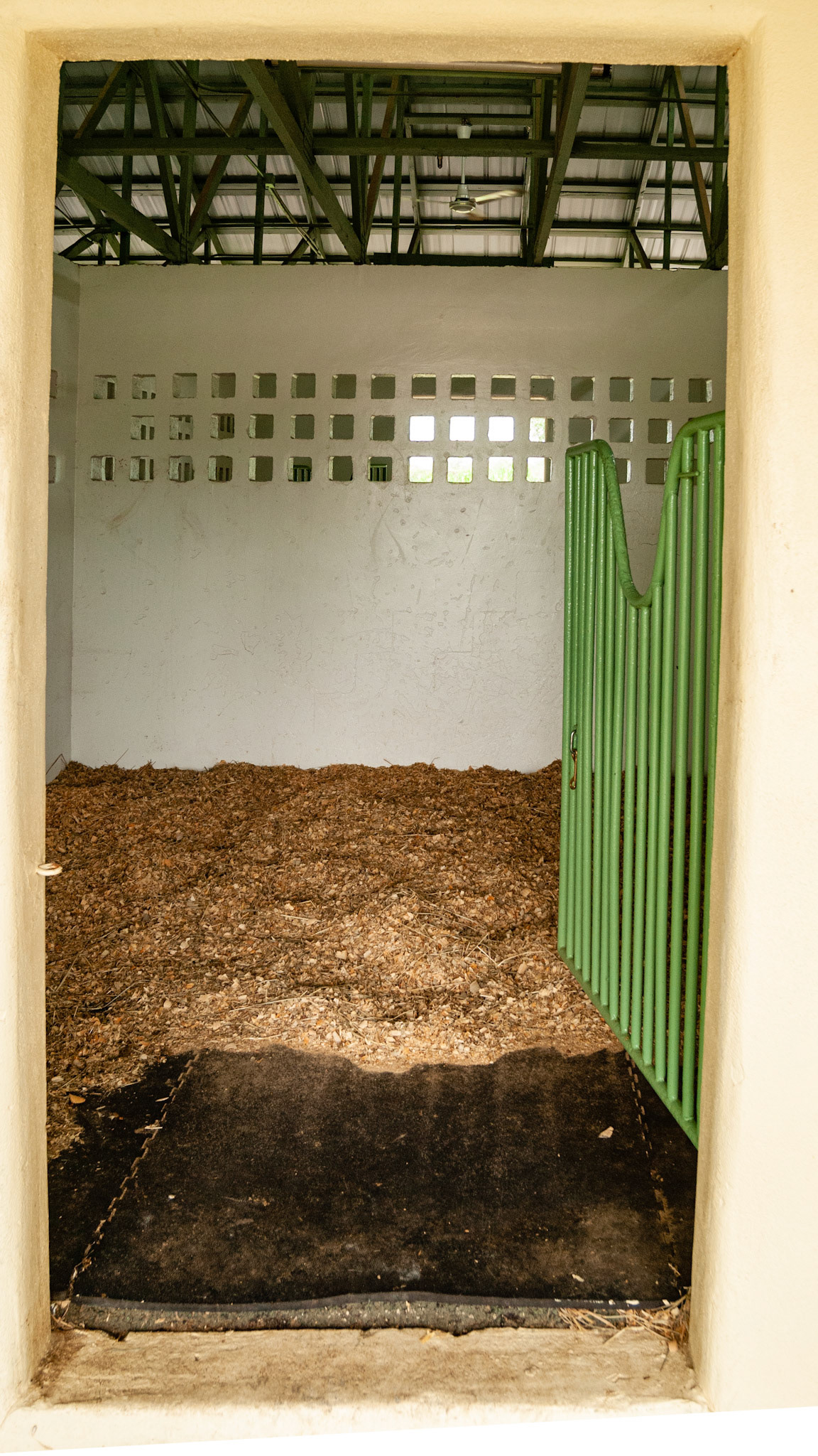 Rubber floor mats latched together.  Hinged stall gate with a simple thumb latch. Holes in the back wall for ventilation.