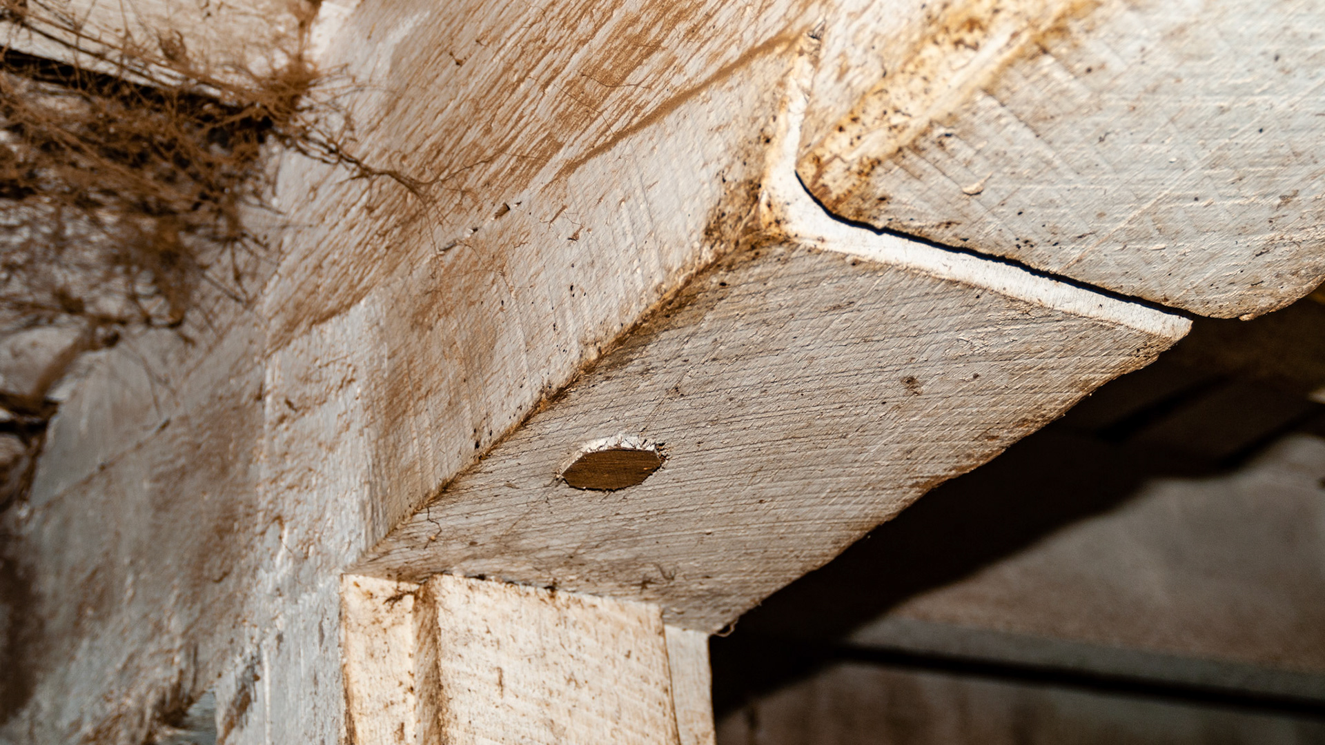 Hand cut beam joints in an old Virginia barn.