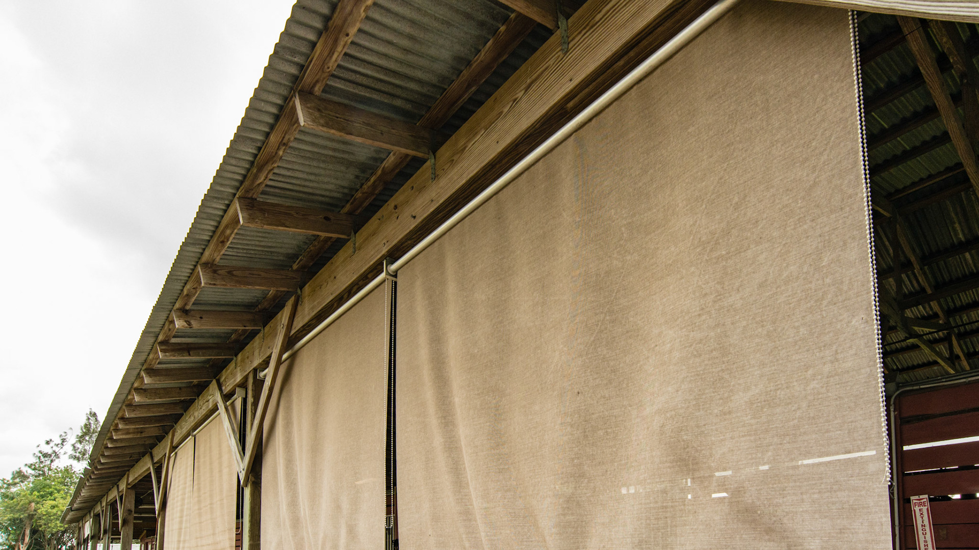 Sun screens that can roll up. Purchased at Walmart online.