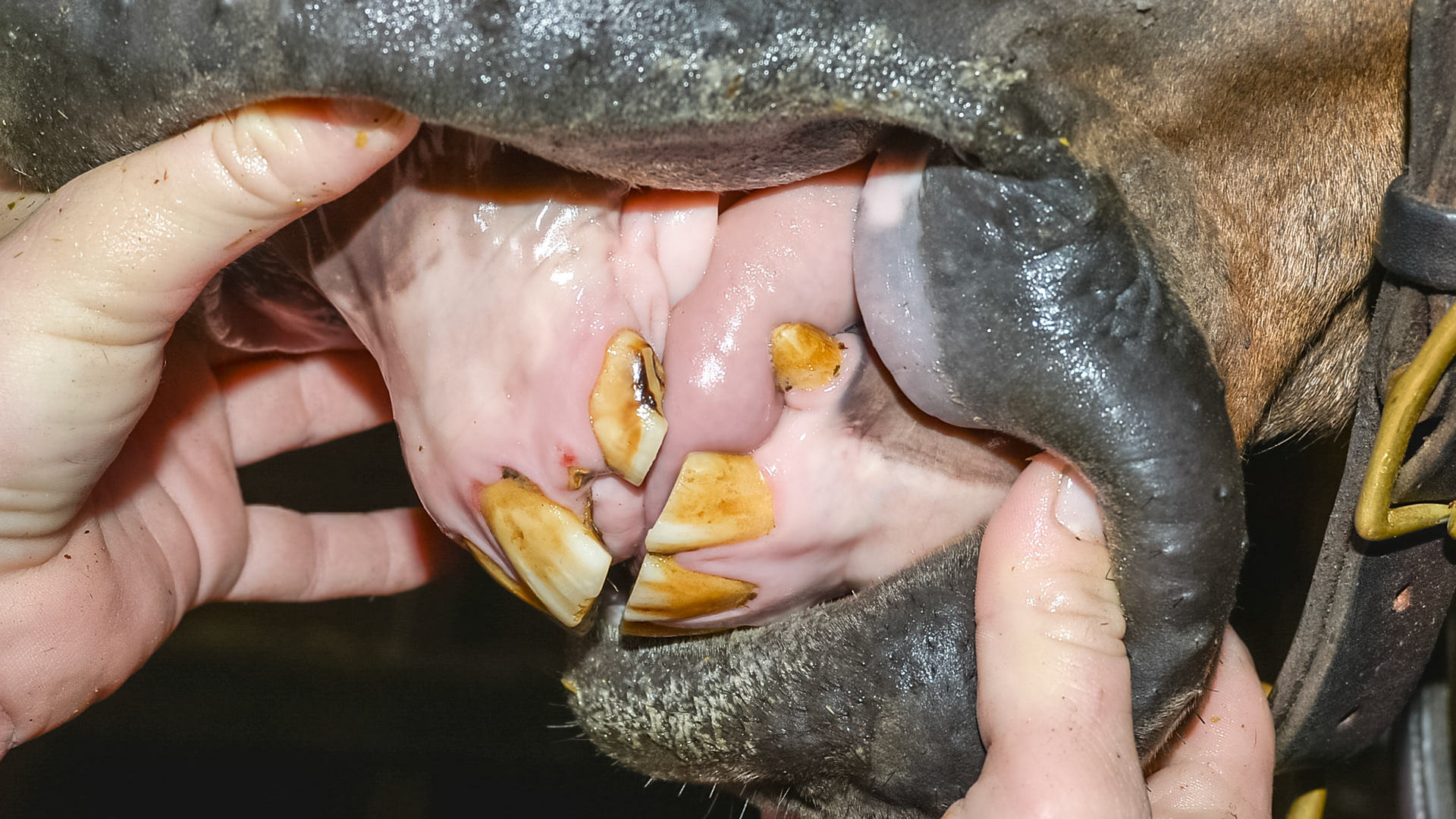 Space between 202 &amp; 203 with cap remnant