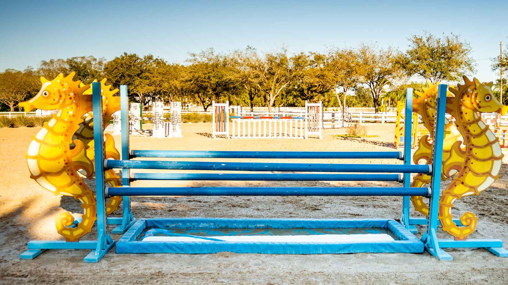 South Florida arena and hand made jumps.