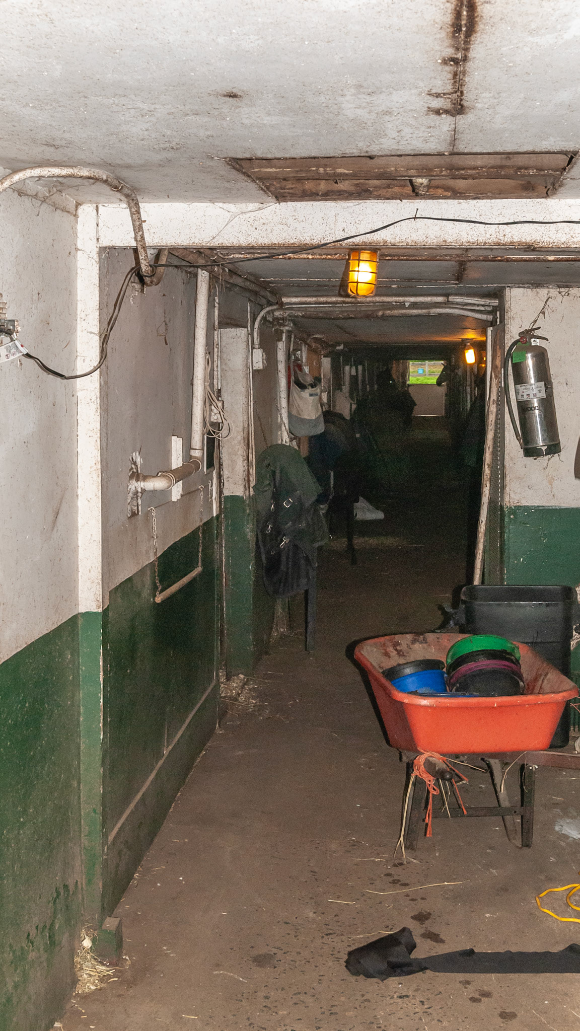 A dark hole where horses walk with lowered heads. Bad things - extension cords, dirty ceiling and lamps, light fixture juts into path of horses and humans, dirty and cluttered environment