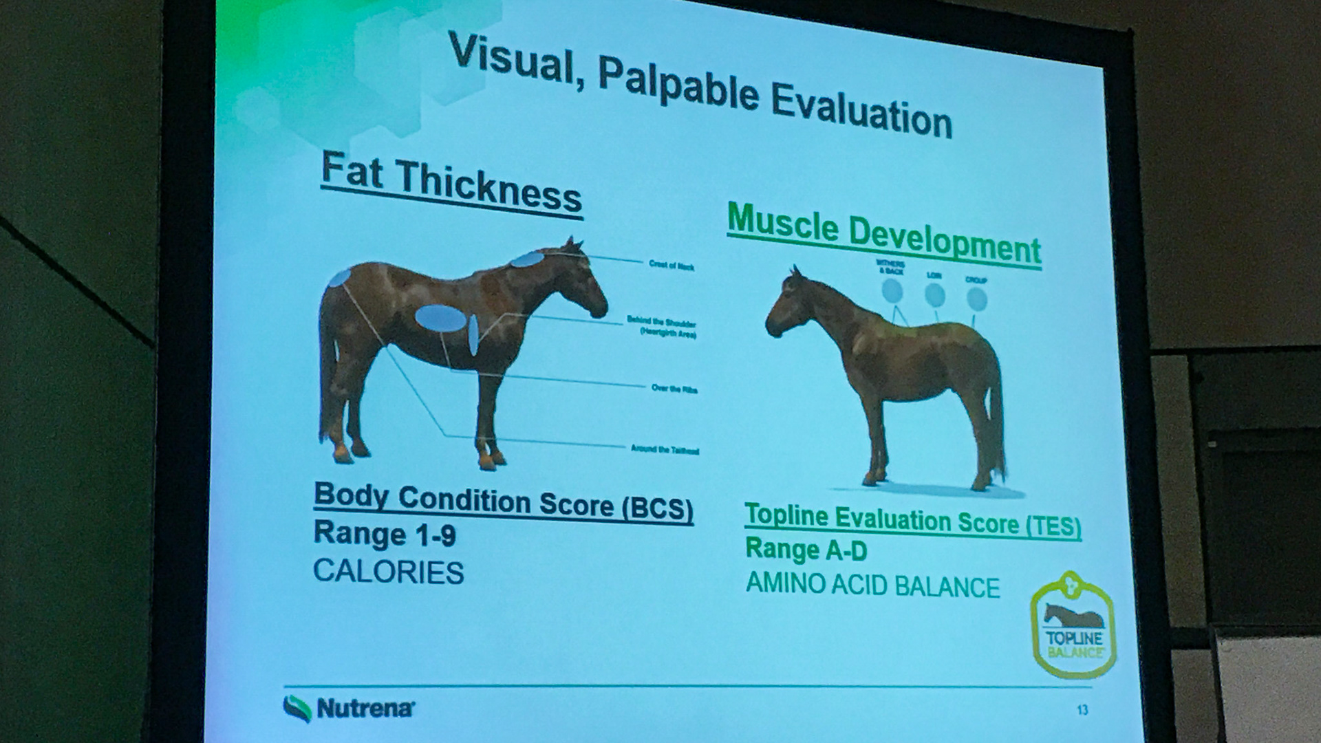 From a lecture on protein given by Nutrena at the AAEP conference: This describes the BCS and TLS scores.