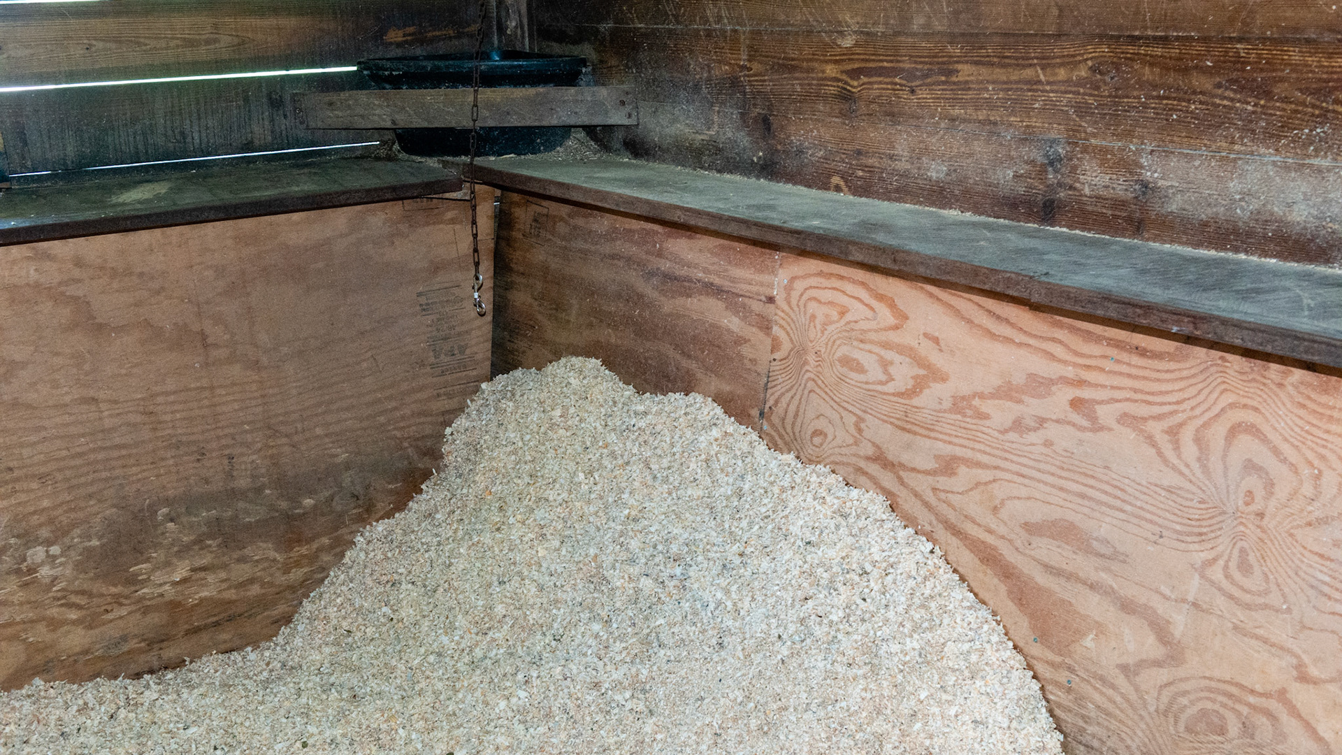 Wood sawdust bedding piled in a corner is a source for quickly adding bedding to a stall plus it helps to prevent the horse from becoming cast.  Tail board is attached to the stall walls to prevent Saddlebreds from rubbing off their tail sets.