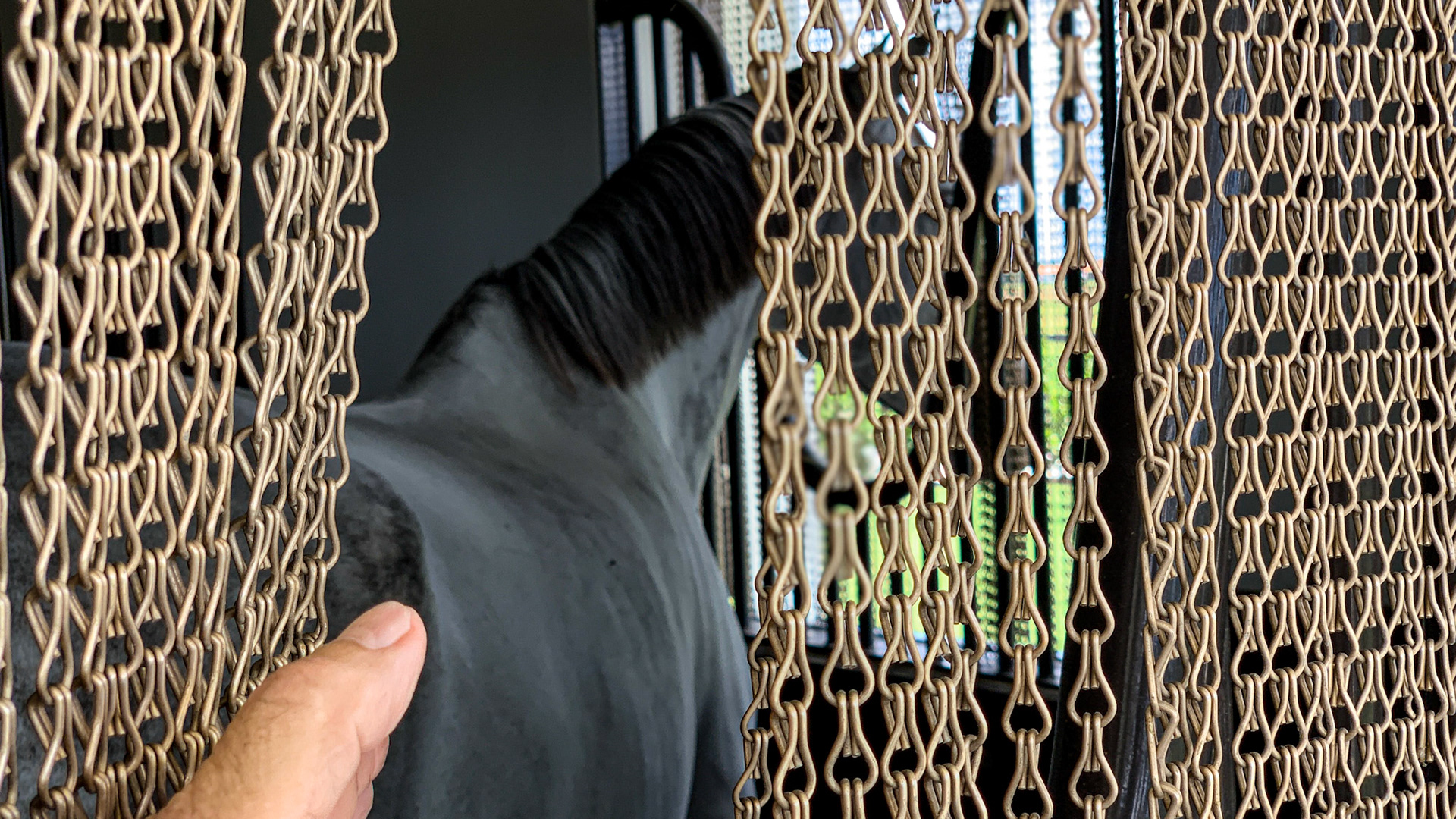 A curtain of chain effectively keeps the flies out of this barn.
