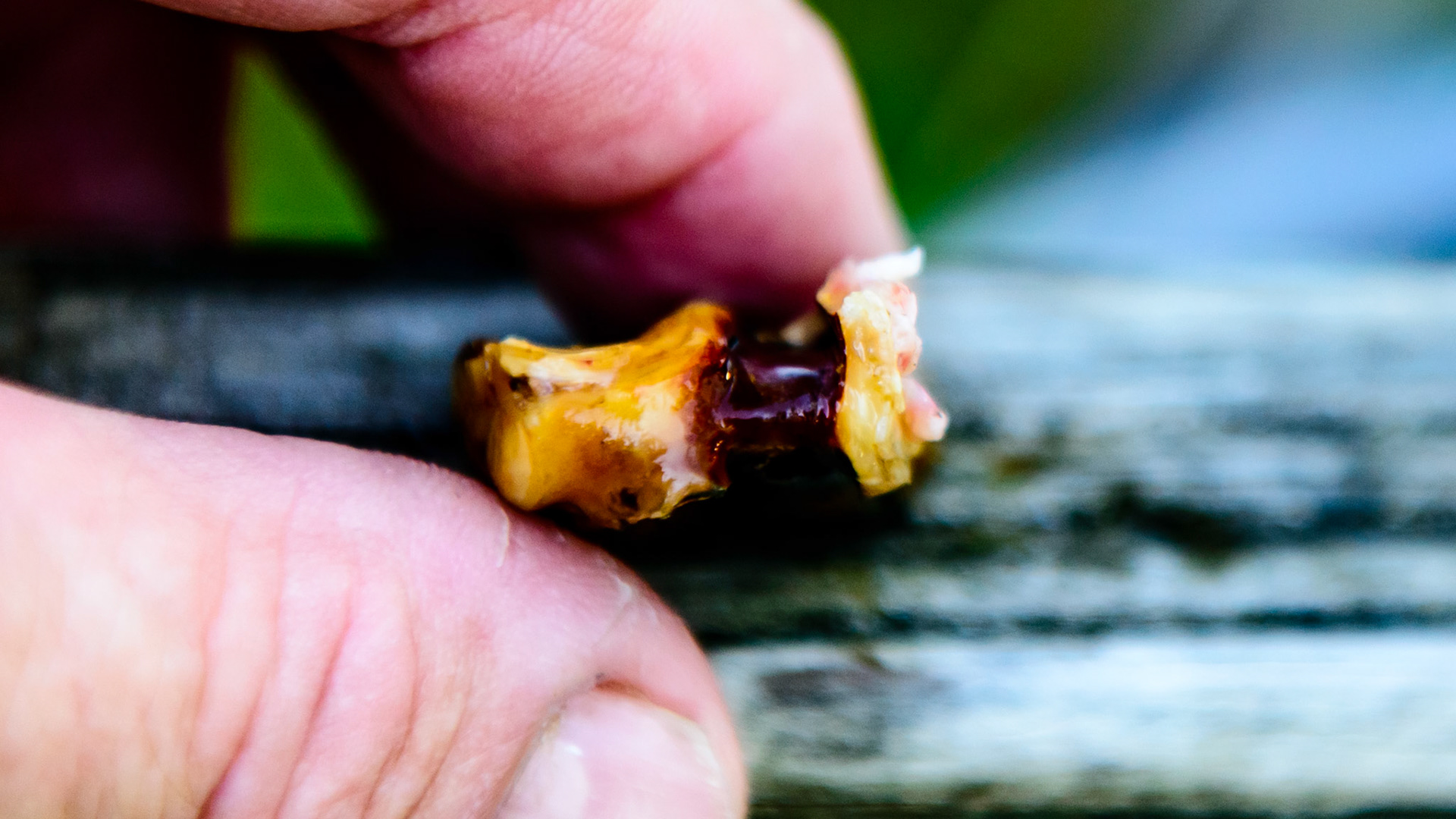 More cheek tooth fracture pieces.
