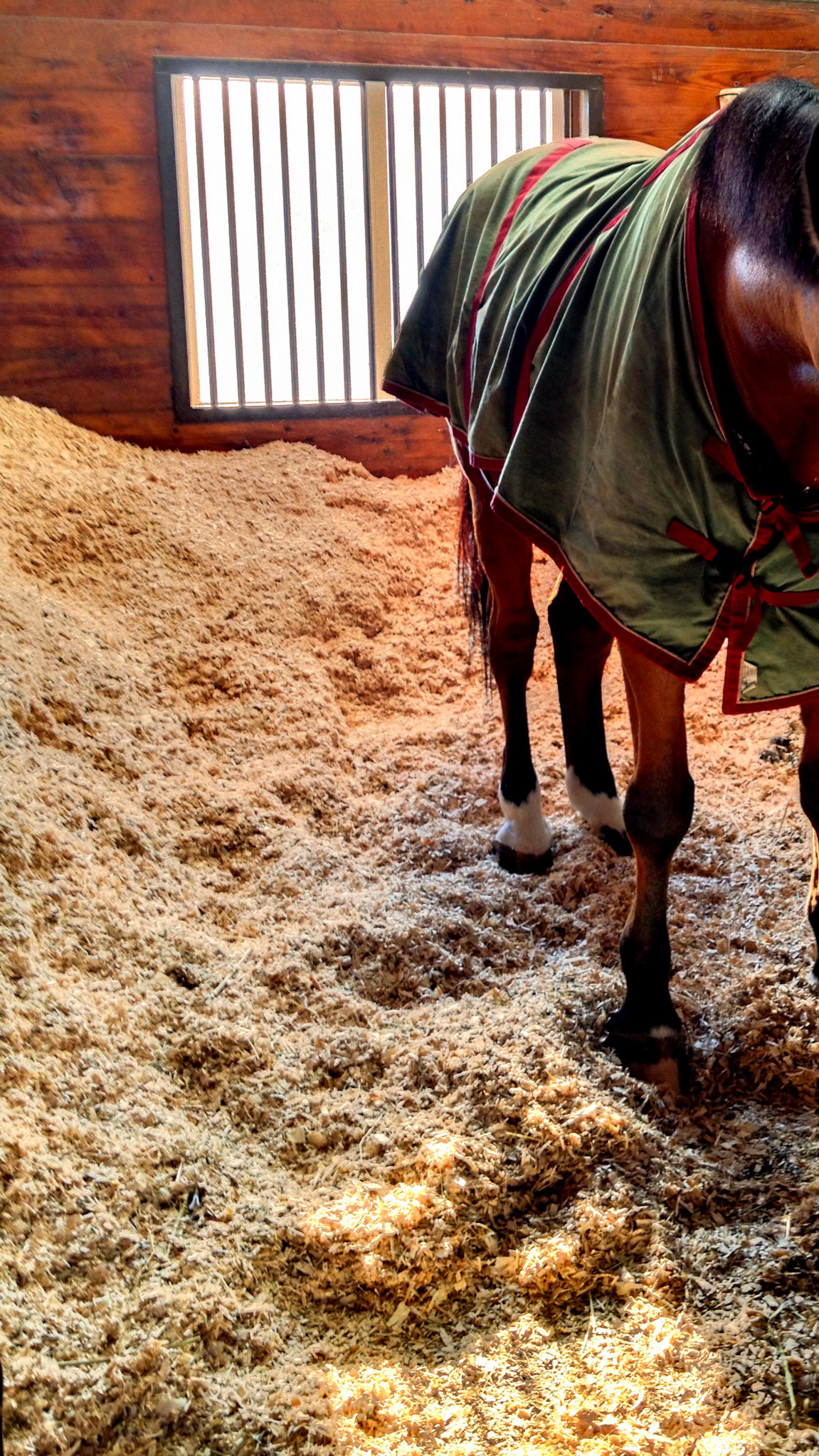 The shavings are banked into the stall walls to prevent the horse from becoming cast. This doesn't work as well as installing casting raiols. This also greatly diminishes the area where a horse can lie down and for male horses, they now are confined to the wettest area of the stall.  Both are good reasons to not bank stalls.