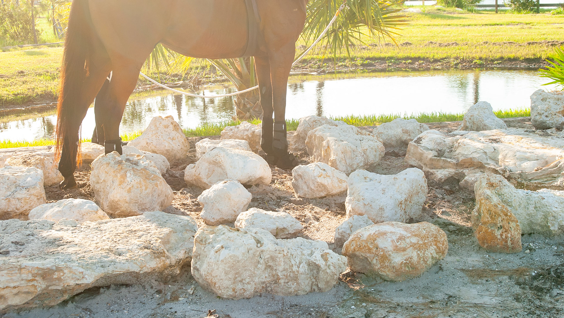 An extreme trail system in Florida about a mile from my home.