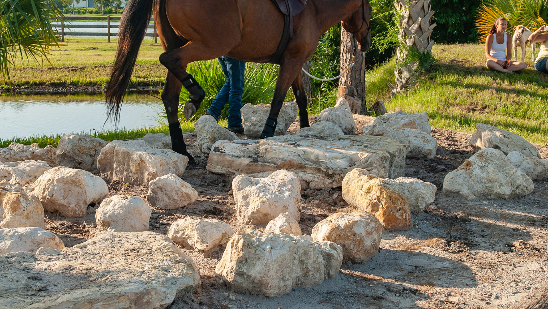 An extreme trail system in Florida about a mile from my home.
