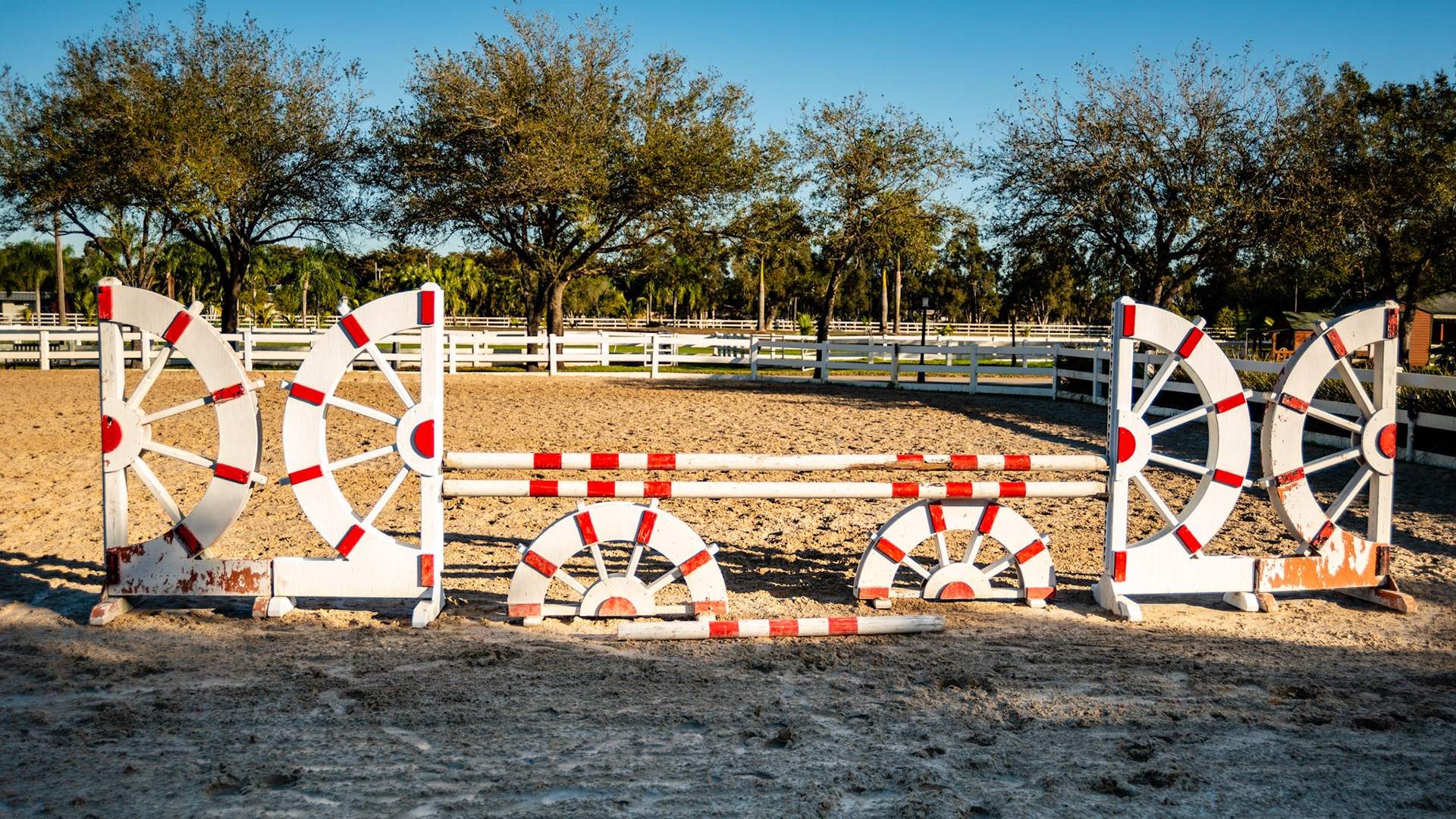 South Florida arena and hand made jumps.