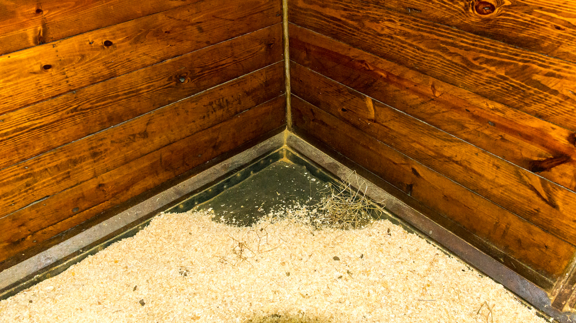 Stall floor is sealed in a rubber flooring material.