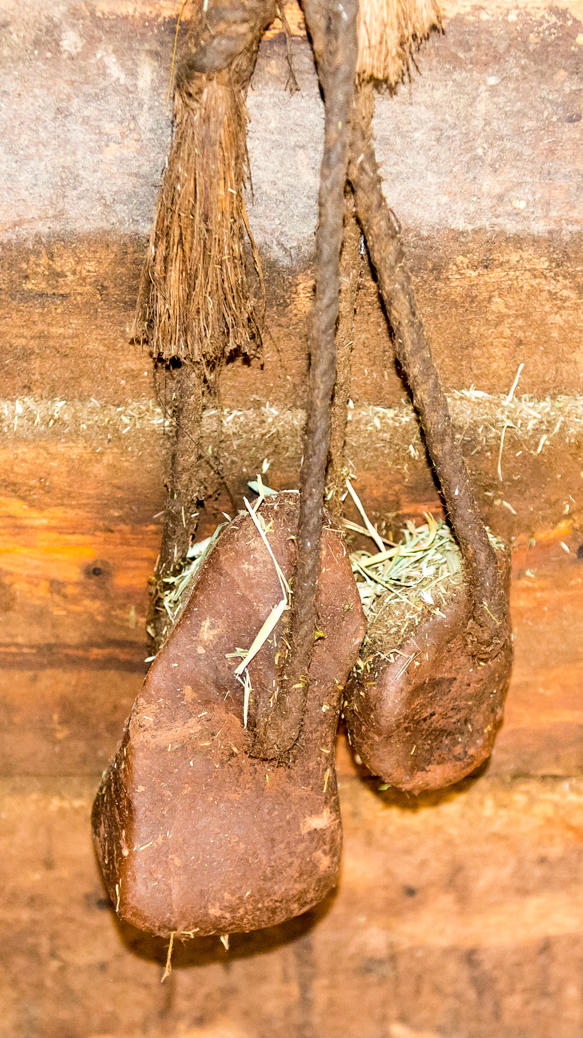 Solid rock salt hanging on a string.  This is the best salt to feed because there are no additives AND they have a variety of other minerals.