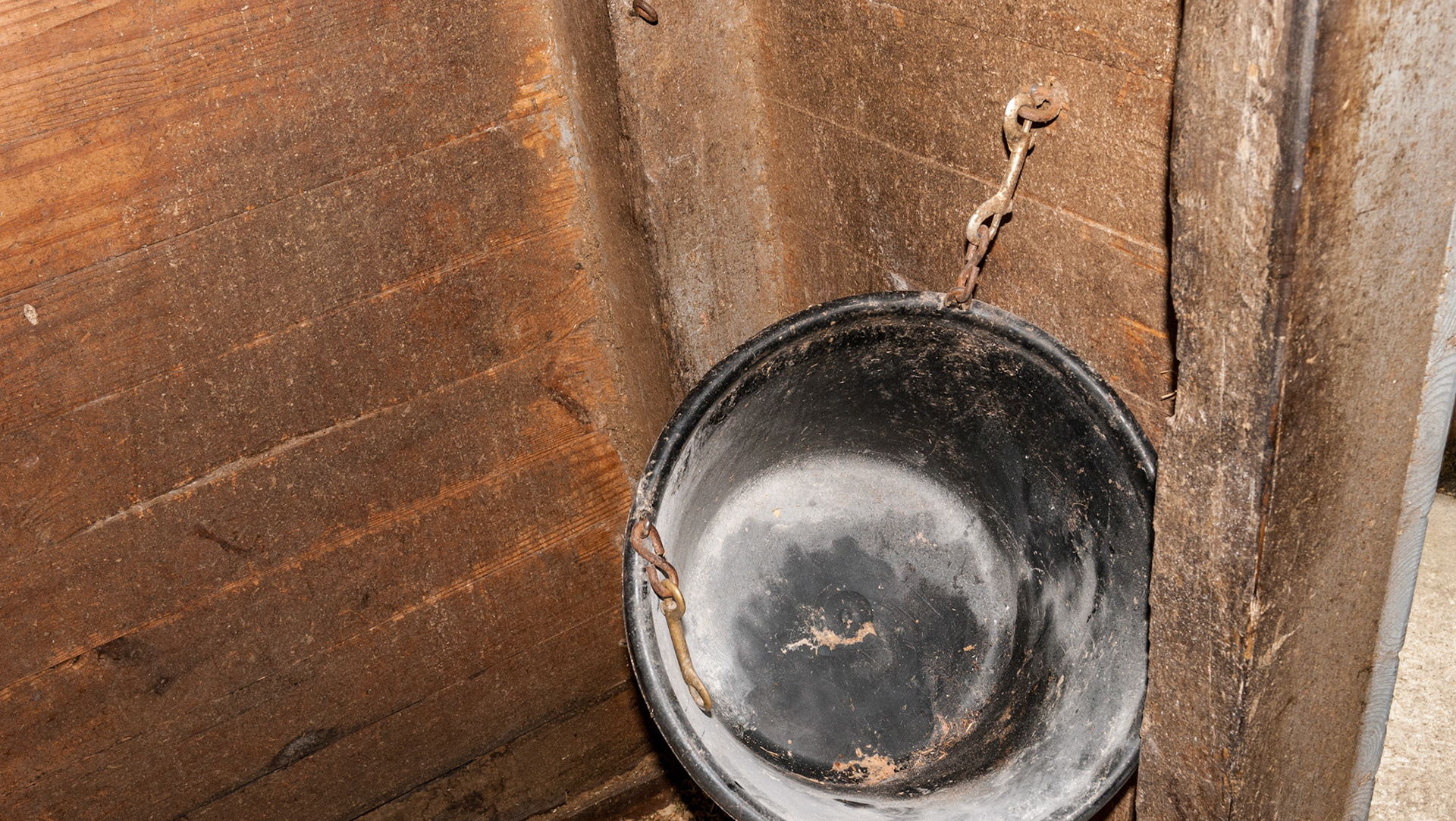 The S hooks are eyelid rippers.  And the filthy bucket and wall is poor horse husbandry.