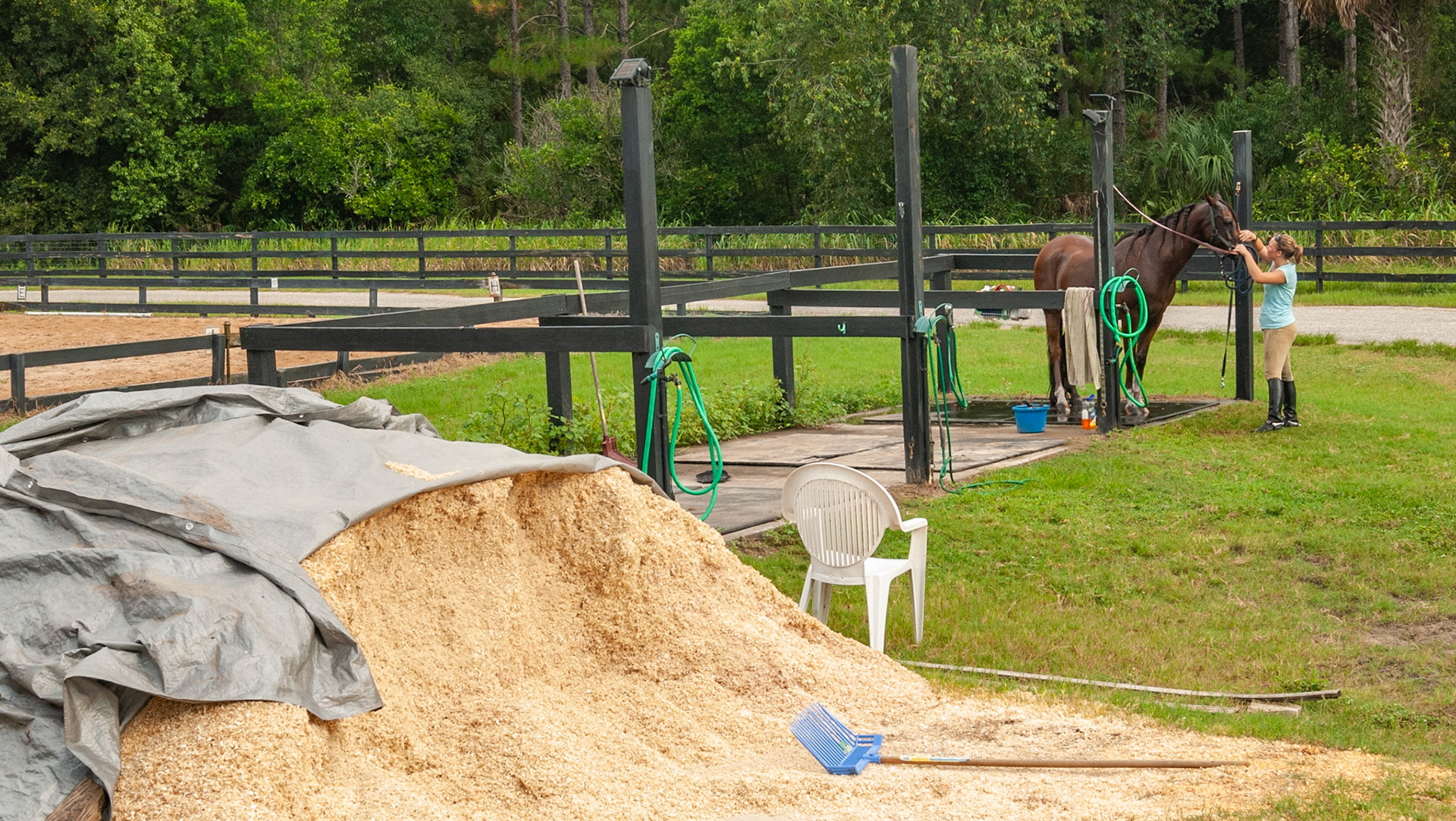 Shavings kept outdoors and covered with a tarp. A wash area is in the distance.