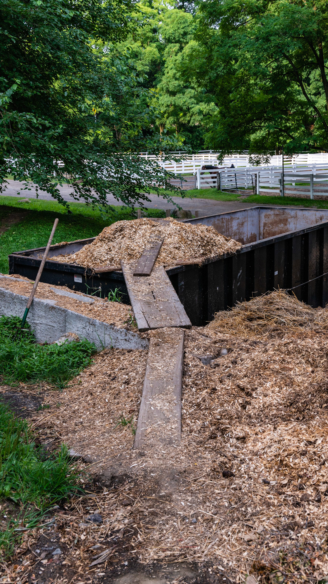 Overflowing manure pit with boards laid to help wheel barrows add more.