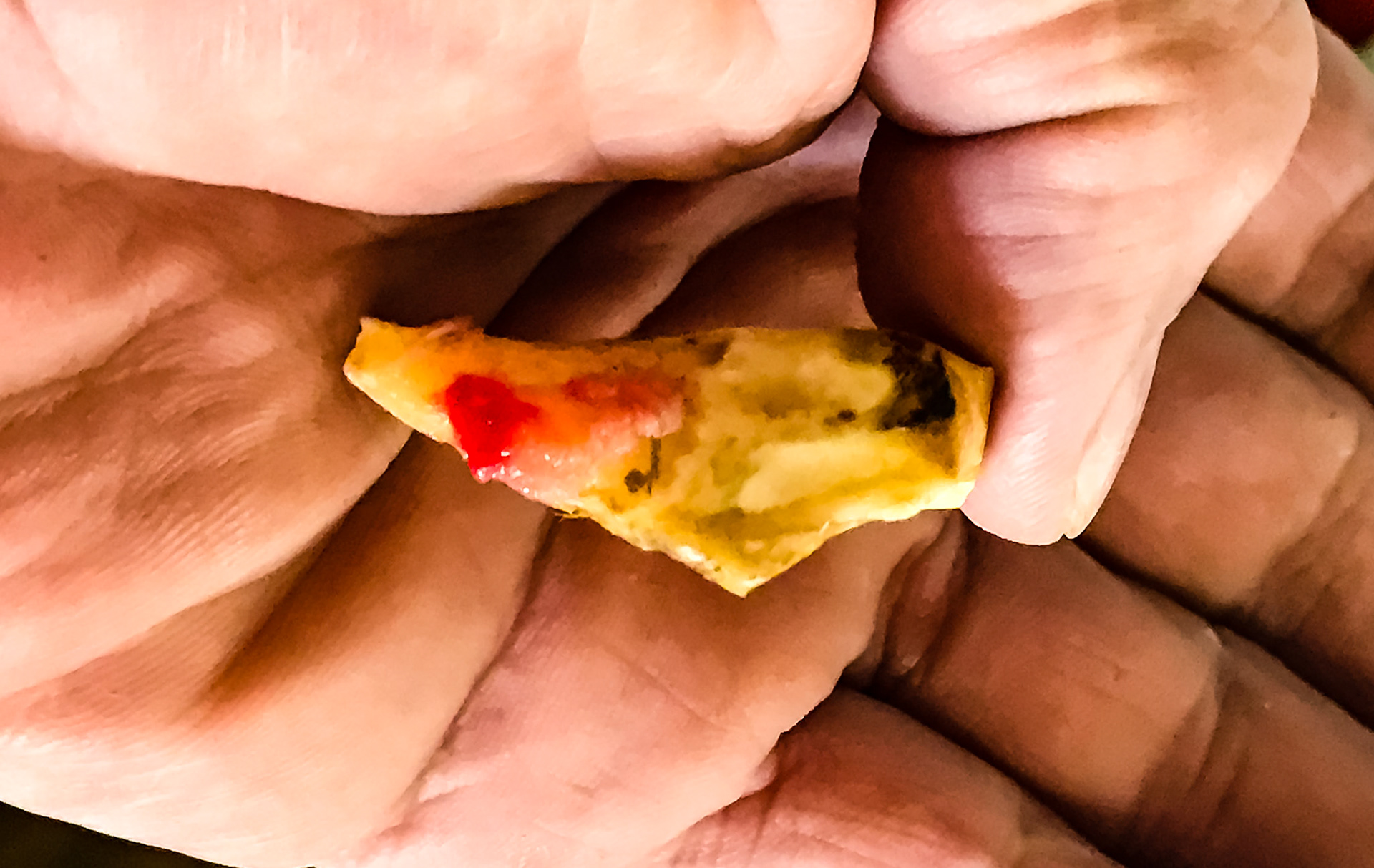 More cheek tooth fracture pieces.