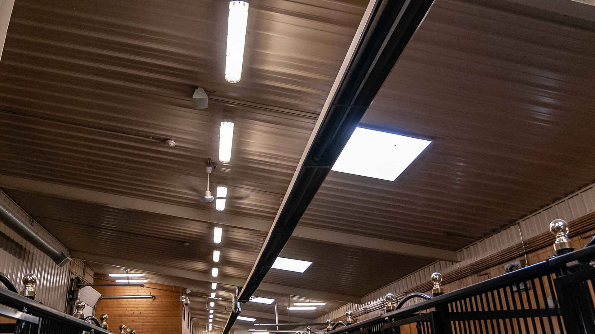 Fluoprescent light fixtures are high and out of harms way. A heating element runs the length of the barn in this northern climate barn.  Music speakers, fire and smoke detectors
