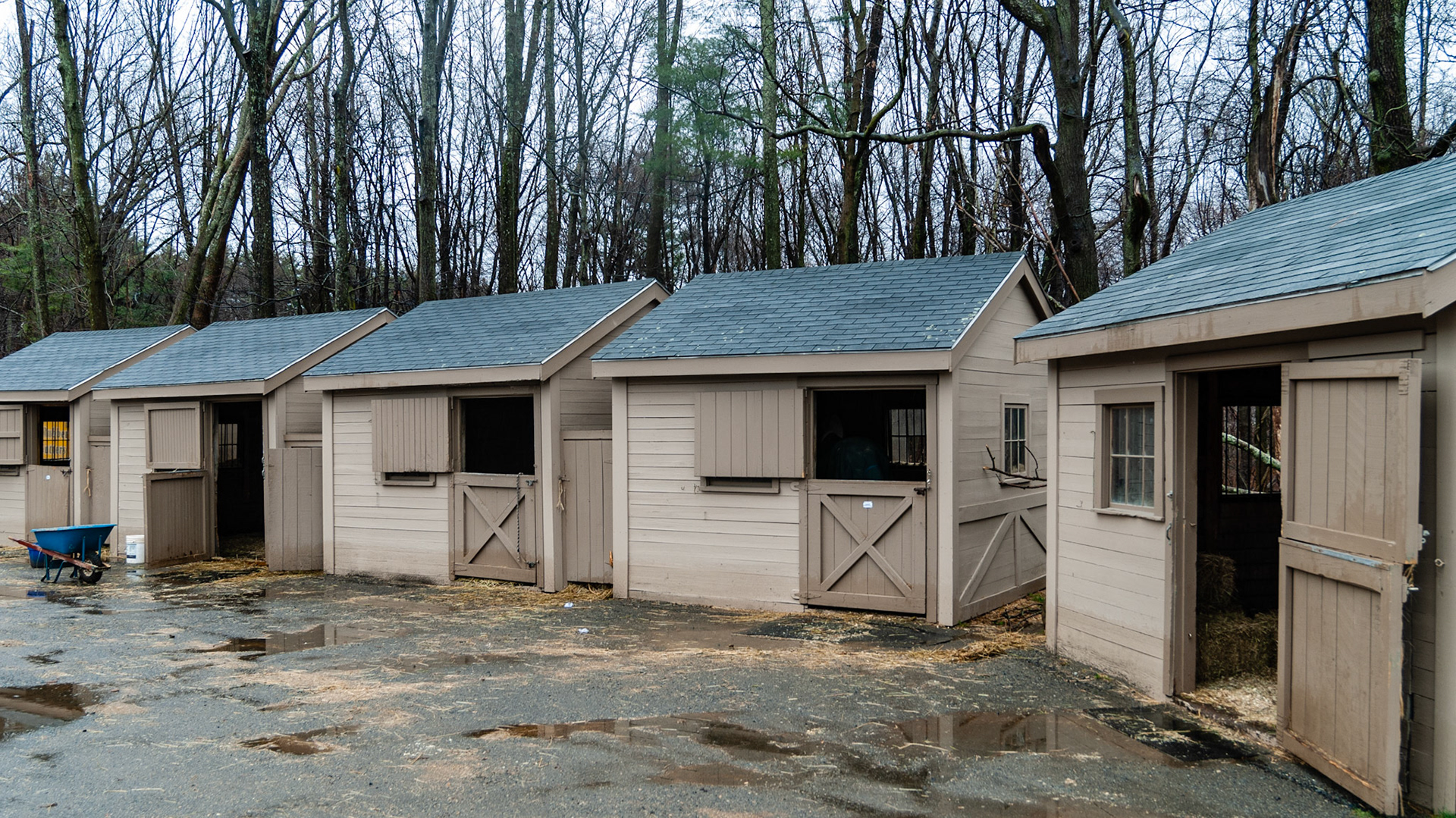 Examples of prefabricated 1 horse structures imported from the manufacturer and installed on a farm.