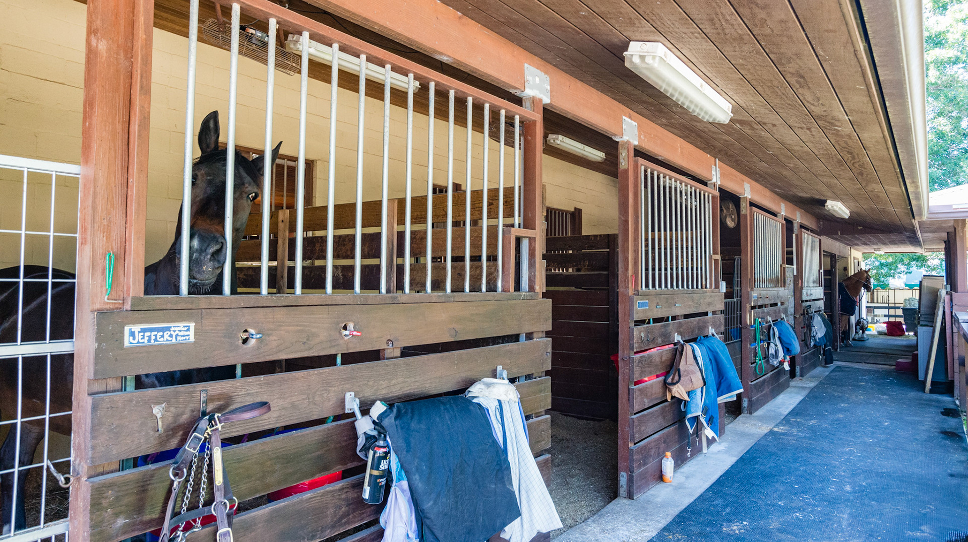Stall interior in Loxahatchee, FL