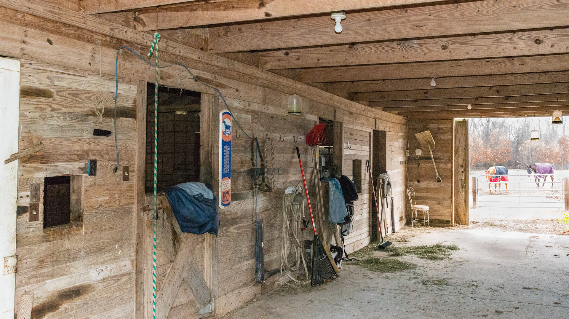 Stall interior in Georgia