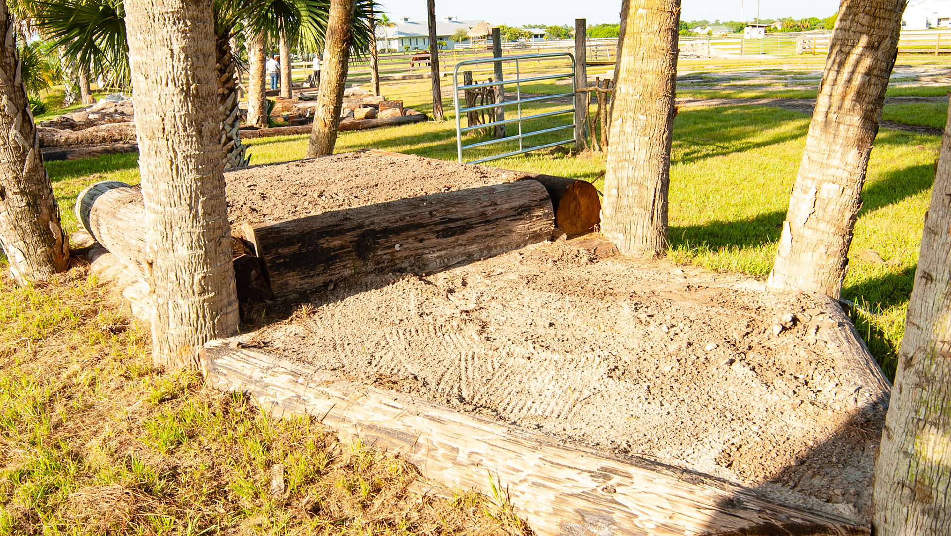 An extreme trail system in Florida about a mile from my home.