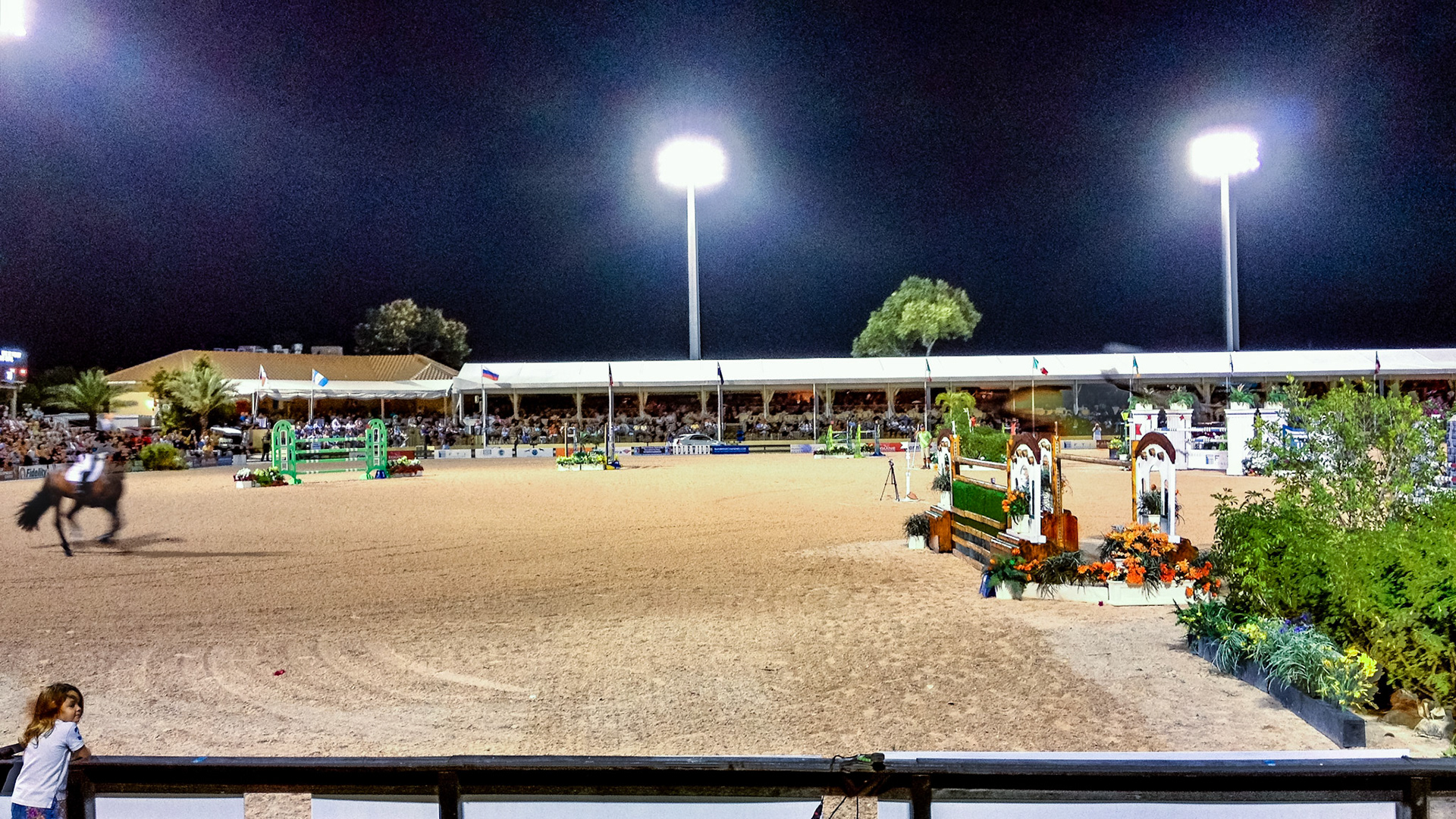 Jumps at the Wellington Equestrian show ground