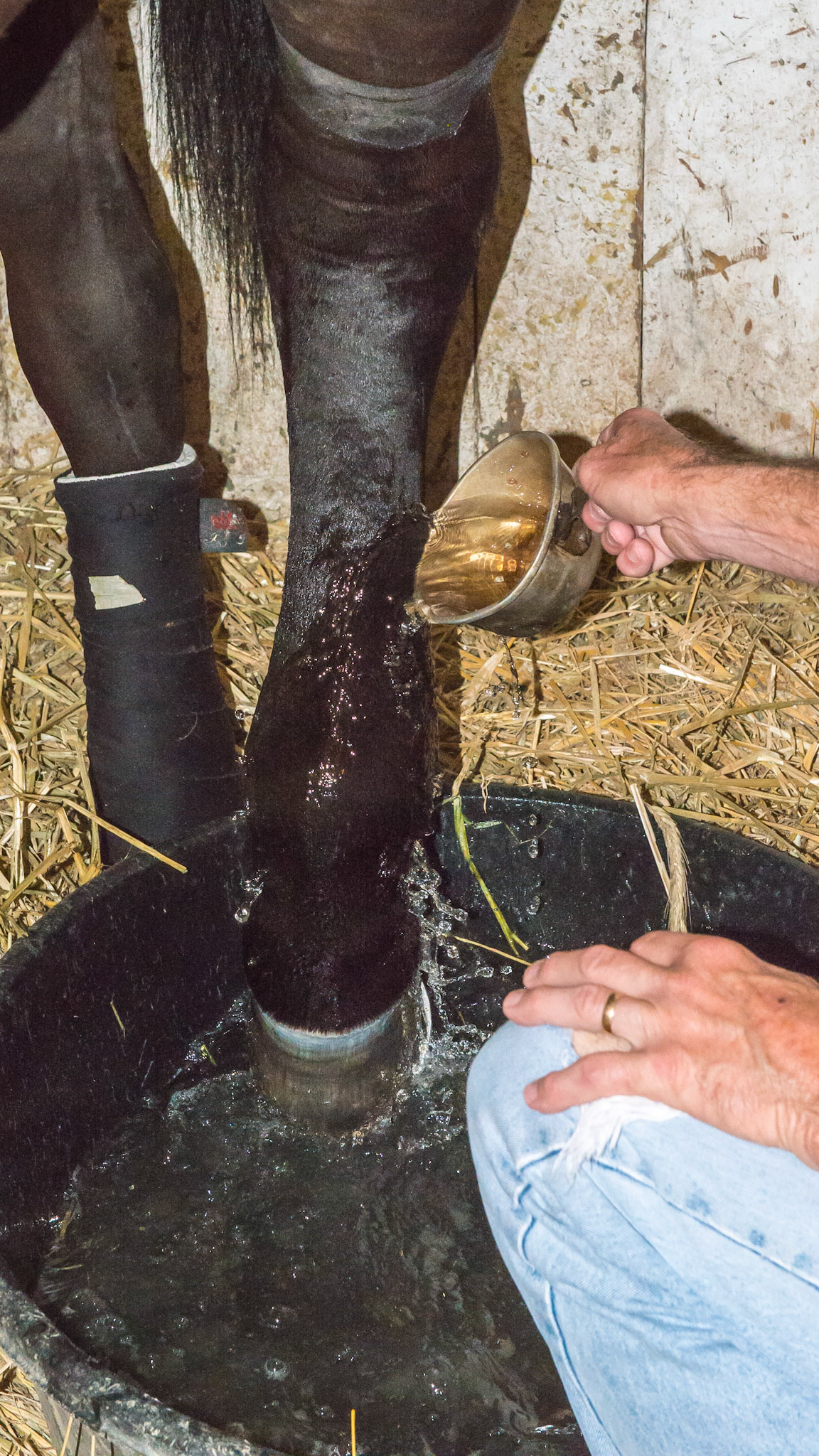 Hydrotherapy when the horse can't walk to the hose. This is a traditional race track method of removing heat from a limb.