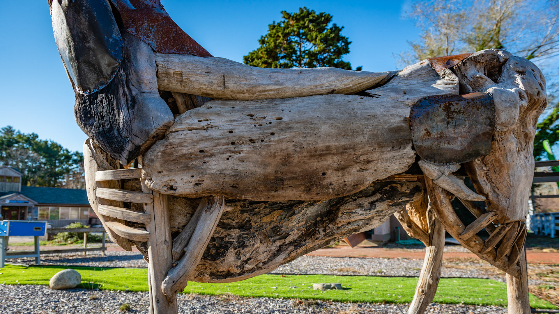 East Hampton, NY at a bicycle store