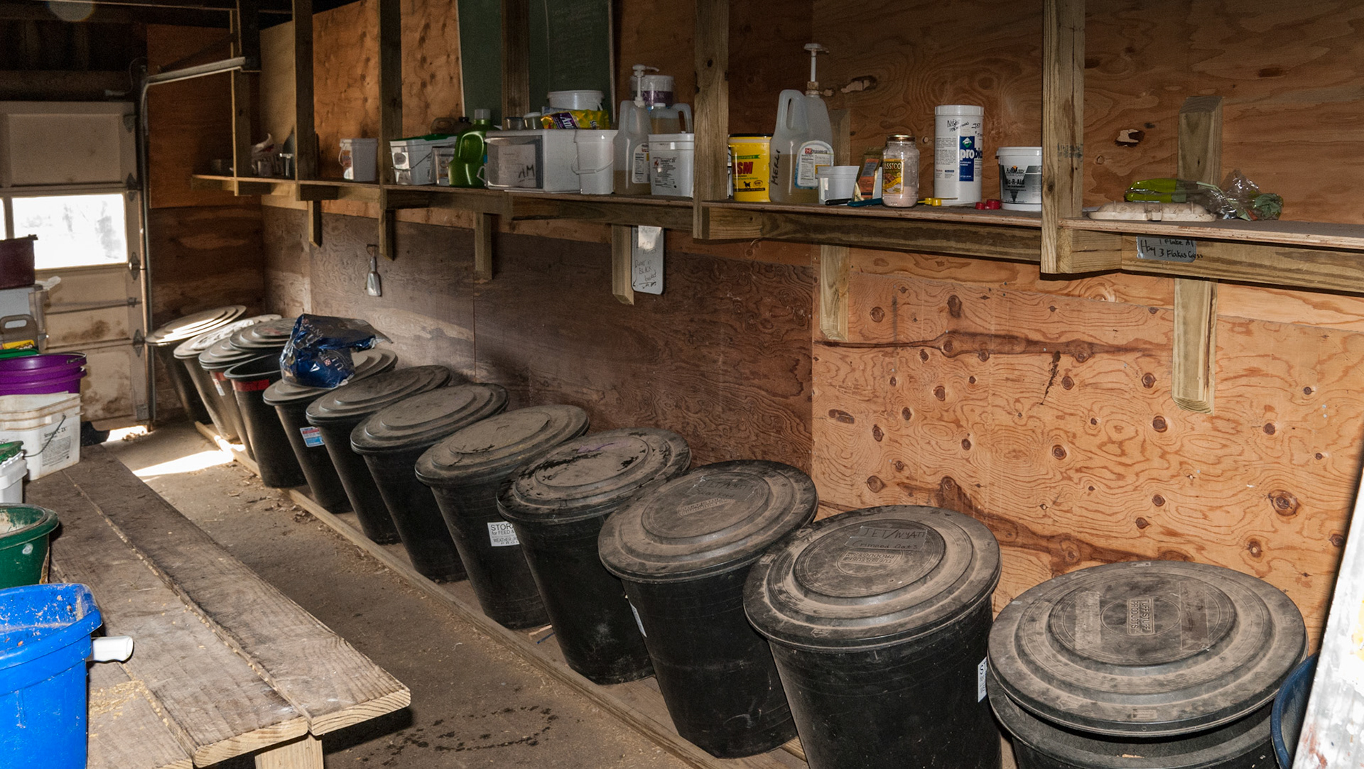 These grain bins are on a slanted floor so the almost empth pail will already have the grain tipped into a corner.