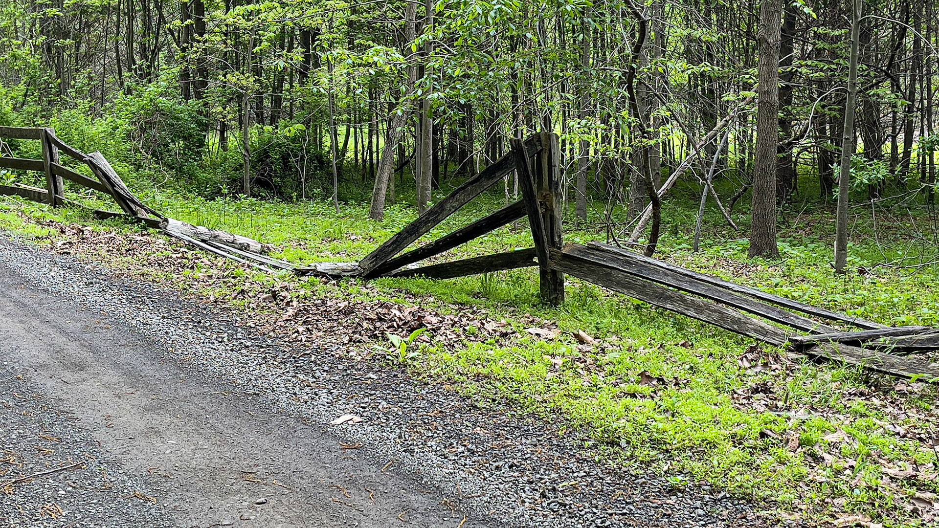 Entropy of a fence line coming out of winter in VA.
