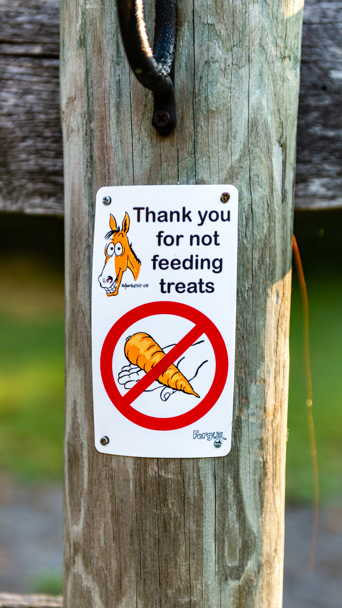No treats - not just carrots as the sign implies.
